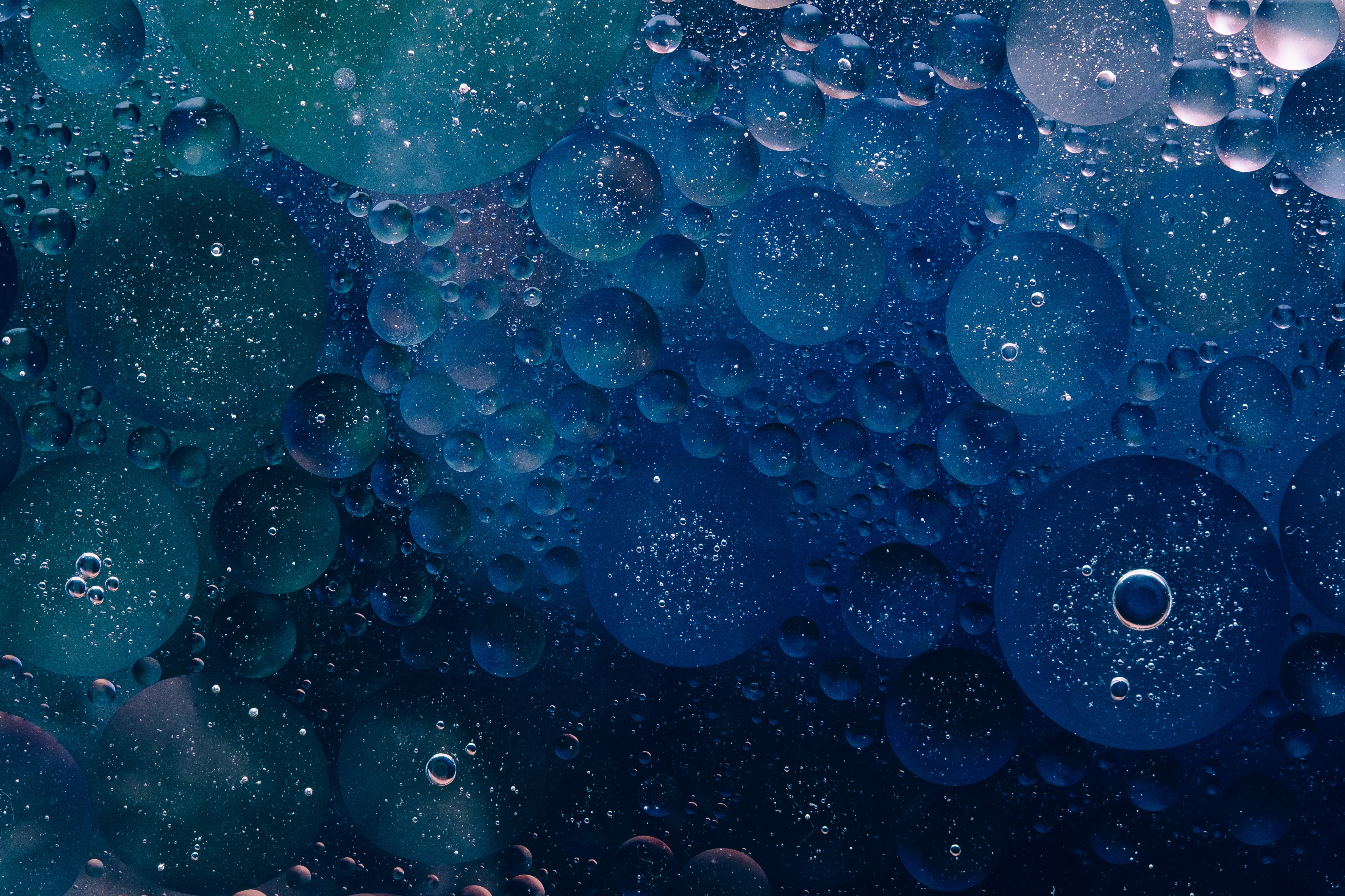 bubbles, blue, macro, circles, texture HD wallpaper
