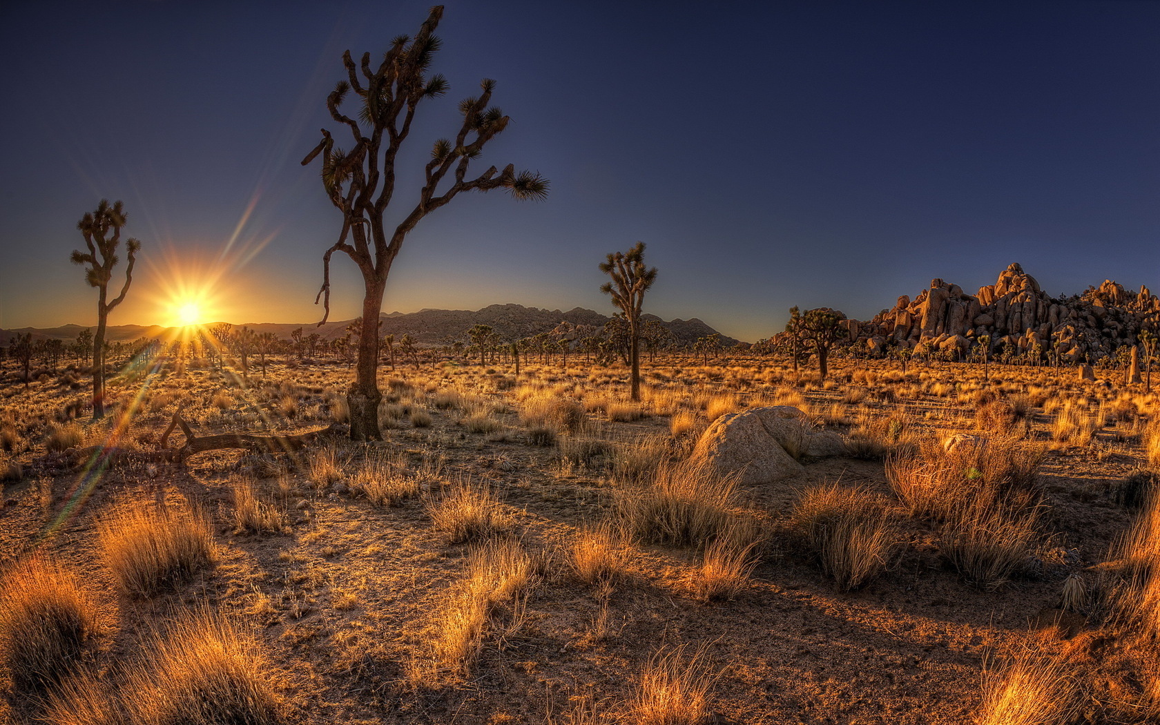 Laden Sie das Wüste, Landschaft, Sunset-Bild kostenlos auf Ihren PC-Desktop herunter