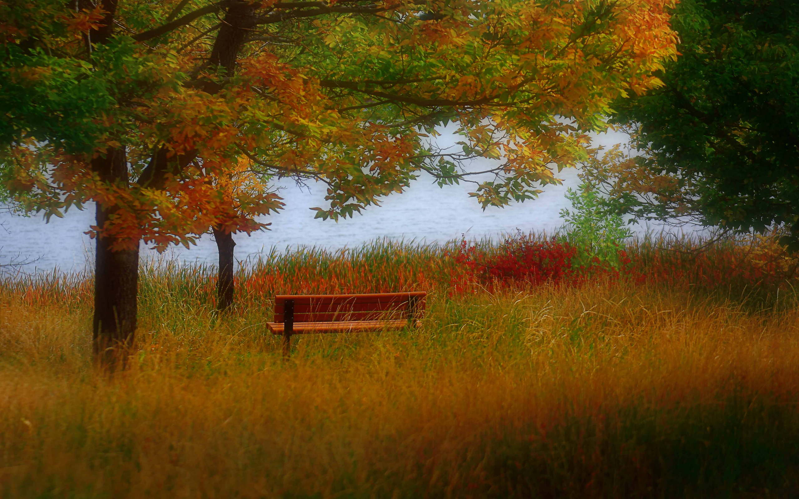 Free download wallpaper Fall, Bench, Photography on your PC desktop