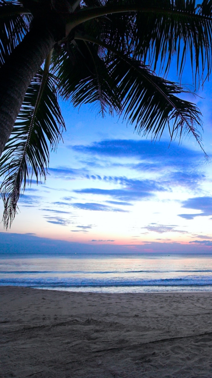 Descarga gratuita de fondo de pantalla para móvil de Playa, Tierra/naturaleza.