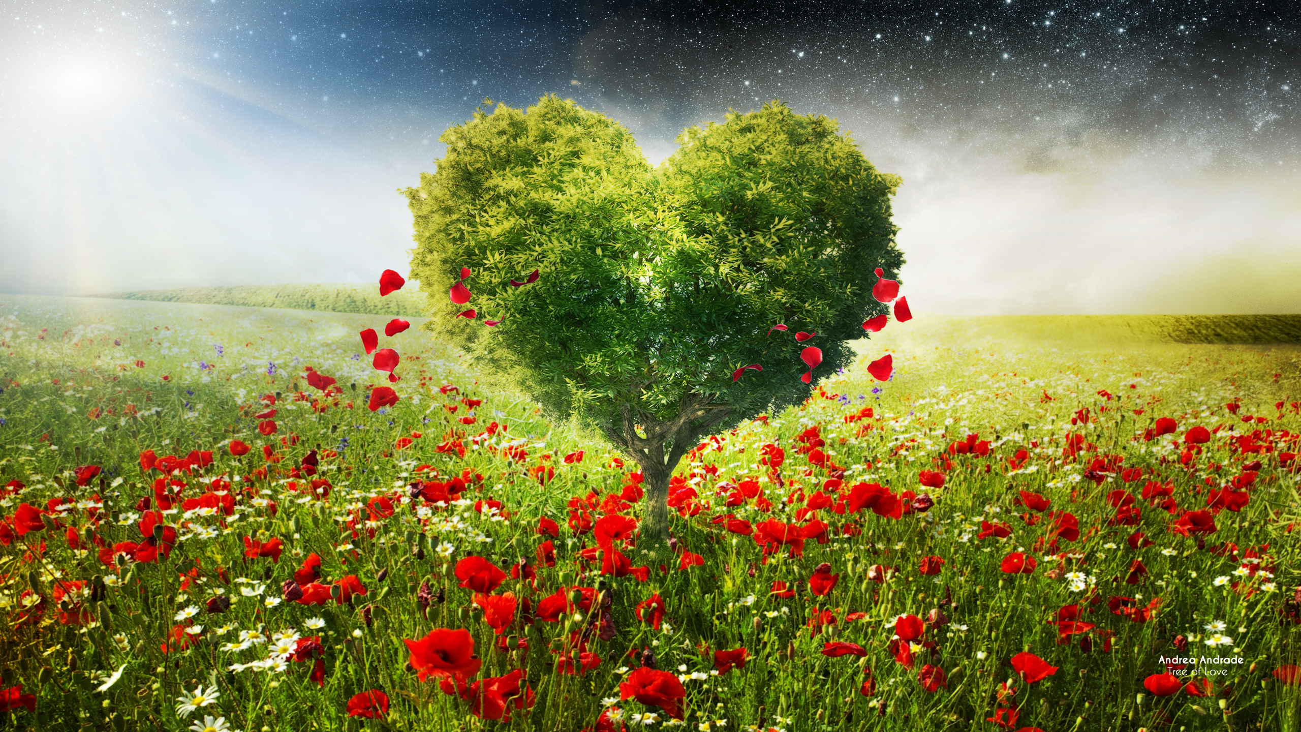 Download mobile wallpaper Love, Tree, Heart, Artistic, Poppy, Red Flower for free.