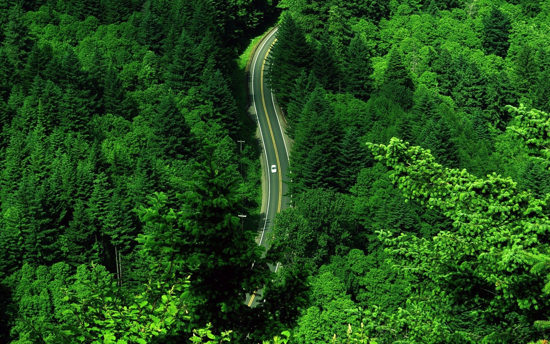 Full HD Wallpaper roads, landscape, trees, green