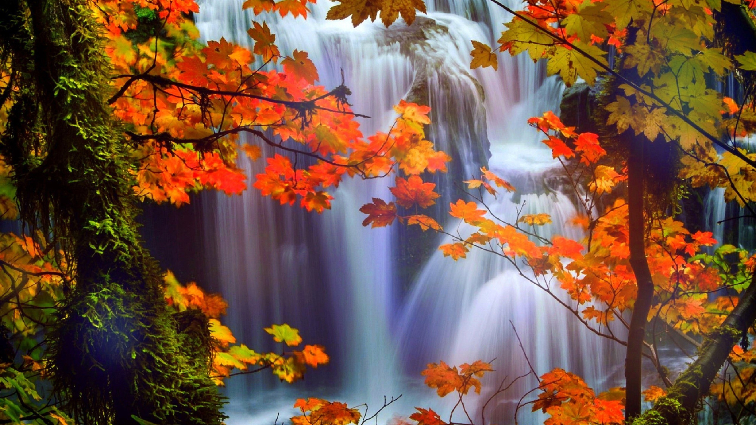 Free download wallpaper Waterfalls, Waterfall, Leaf, Fall, Earth on your PC desktop