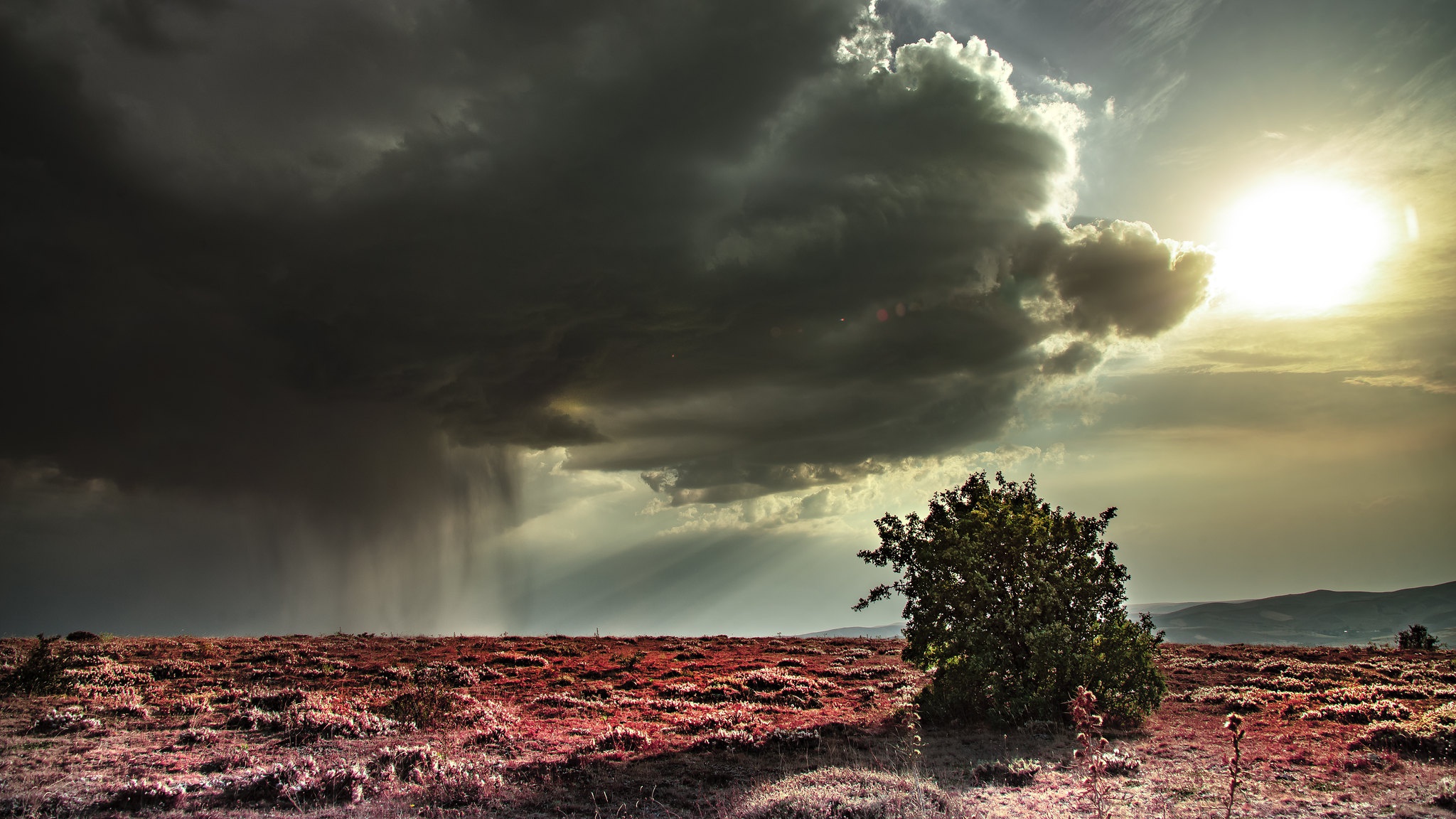 Téléchargez gratuitement l'image Nuage, La Nature, Terre/nature sur le bureau de votre PC