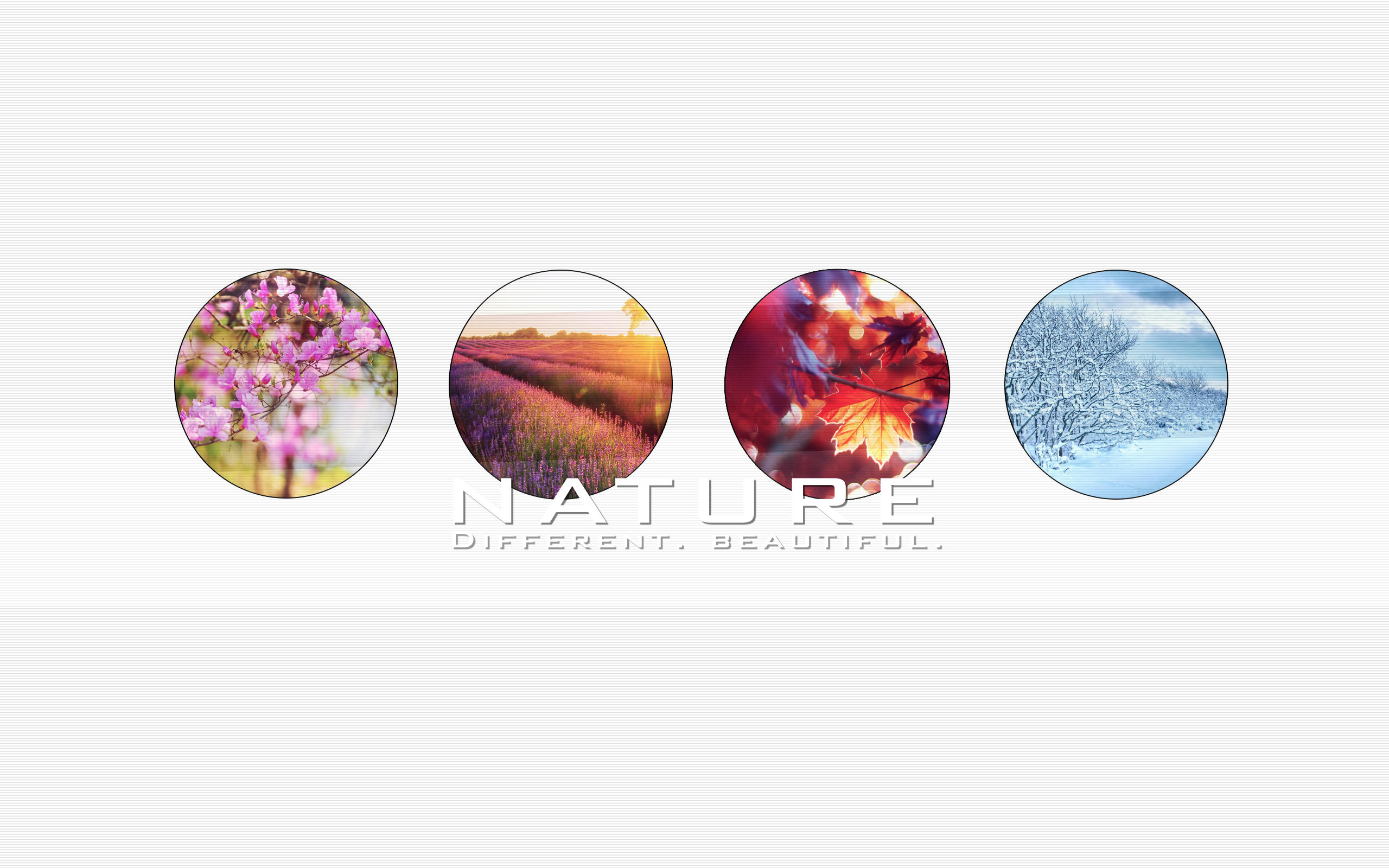 Laden Sie das Natur, Jahreszeit, Künstlerisch-Bild kostenlos auf Ihren PC-Desktop herunter