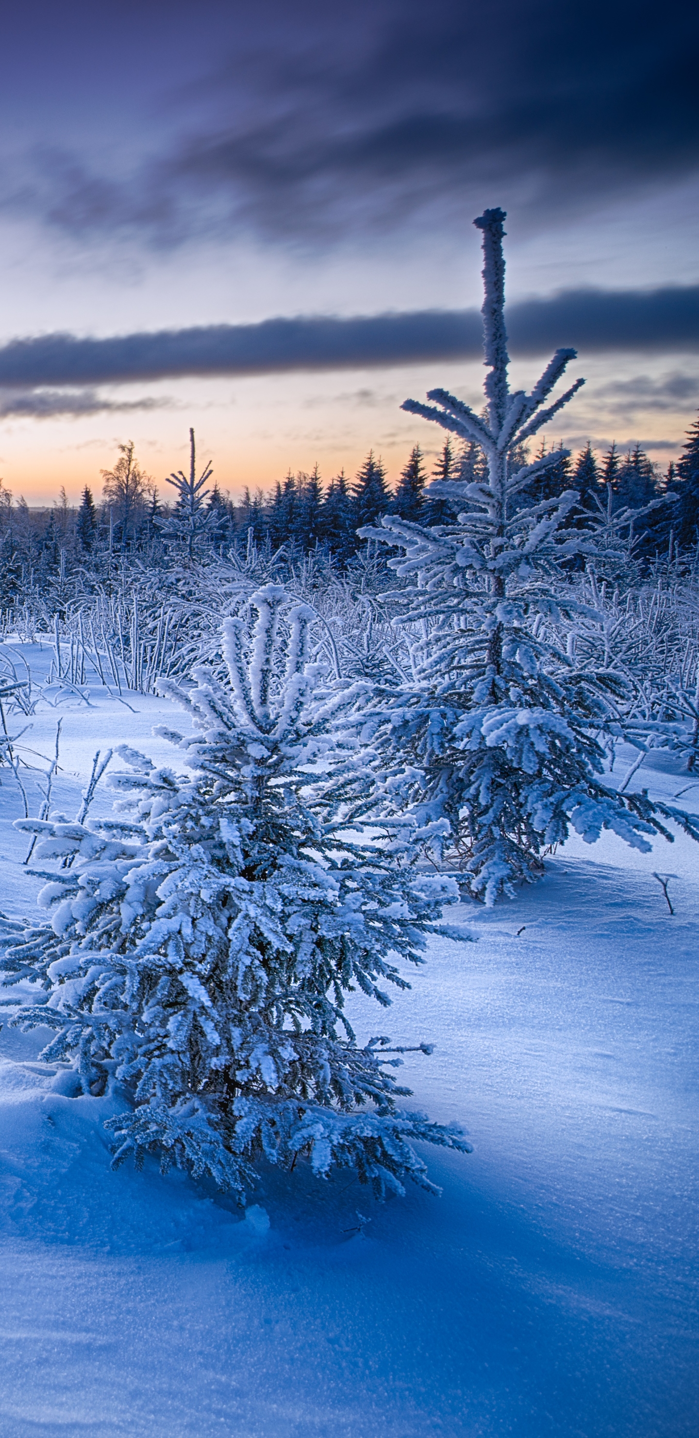 Download mobile wallpaper Landscape, Winter, Nature, Snow, Horizon, Earth for free.