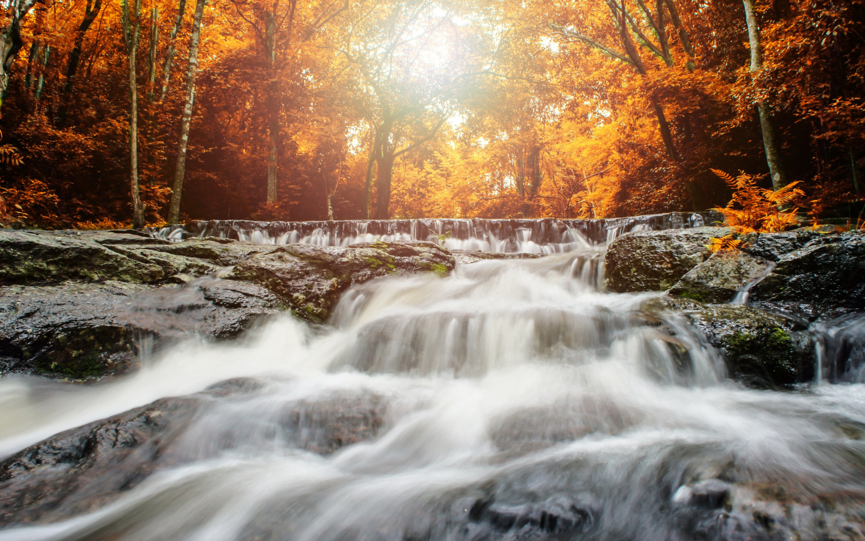 Скачать картинку Река, Осень, Водопады, Водопад, Лес, Земля/природа в телефон бесплатно.