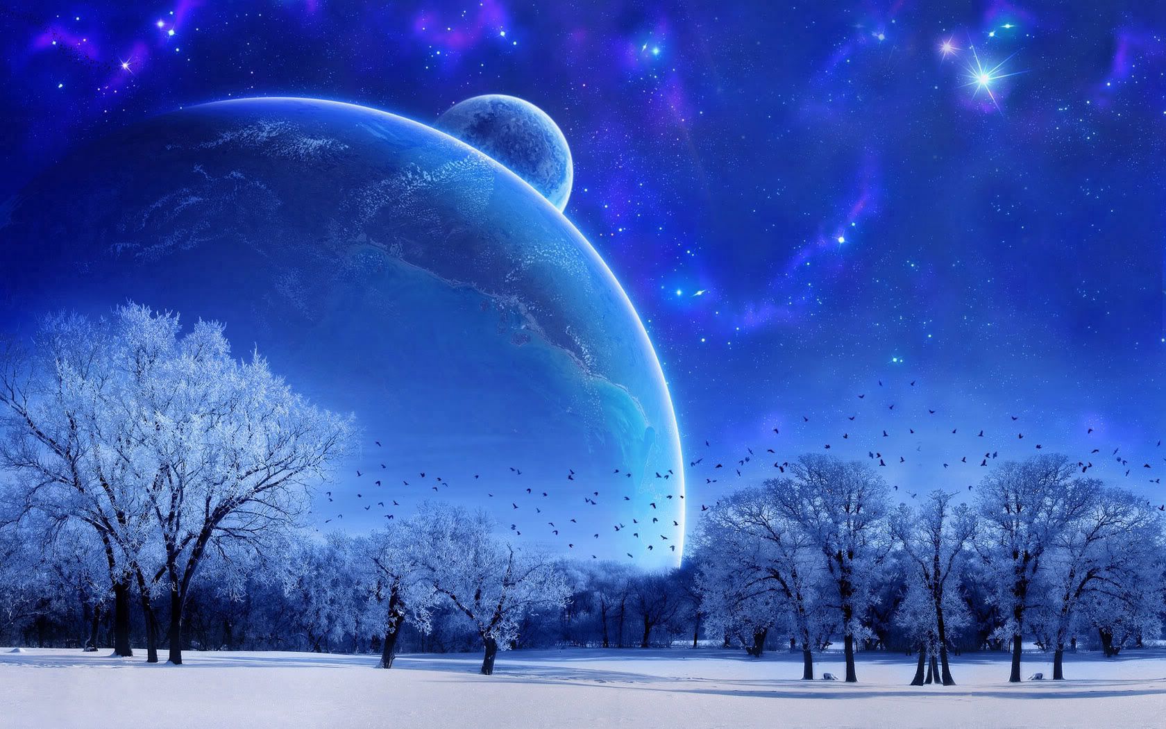 sky, landscape, full moon, nature, abstract, snow, winter, birds, trees, evening Full HD