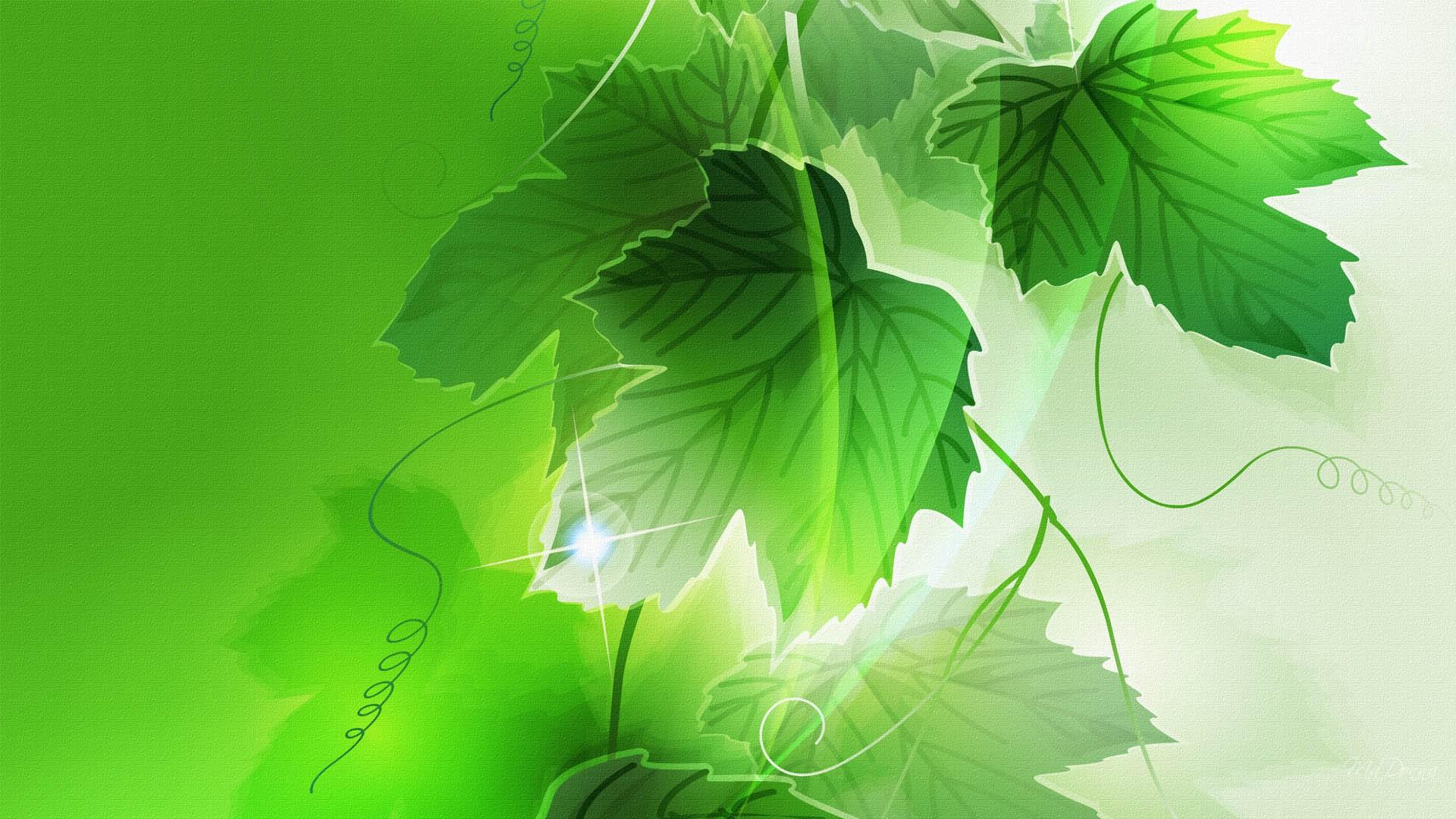 Скачать картинку Растение, Лист, Зеленый, Художественные в телефон бесплатно.