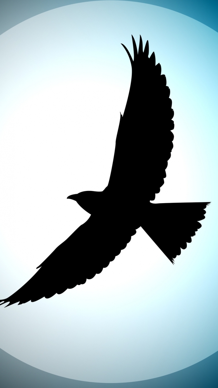 Download mobile wallpaper Birds, Animal, Hawk for free.