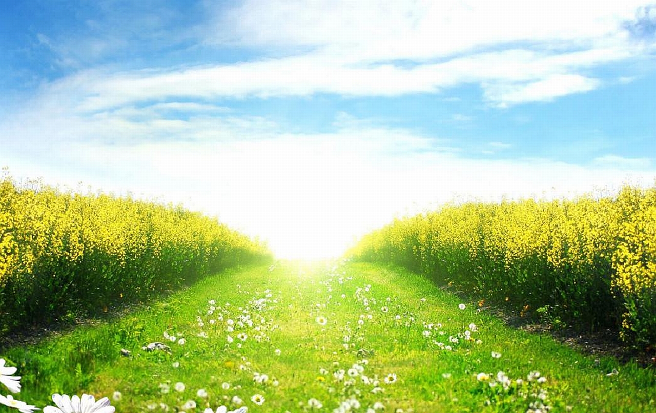 Free download wallpaper Earth, Field on your PC desktop