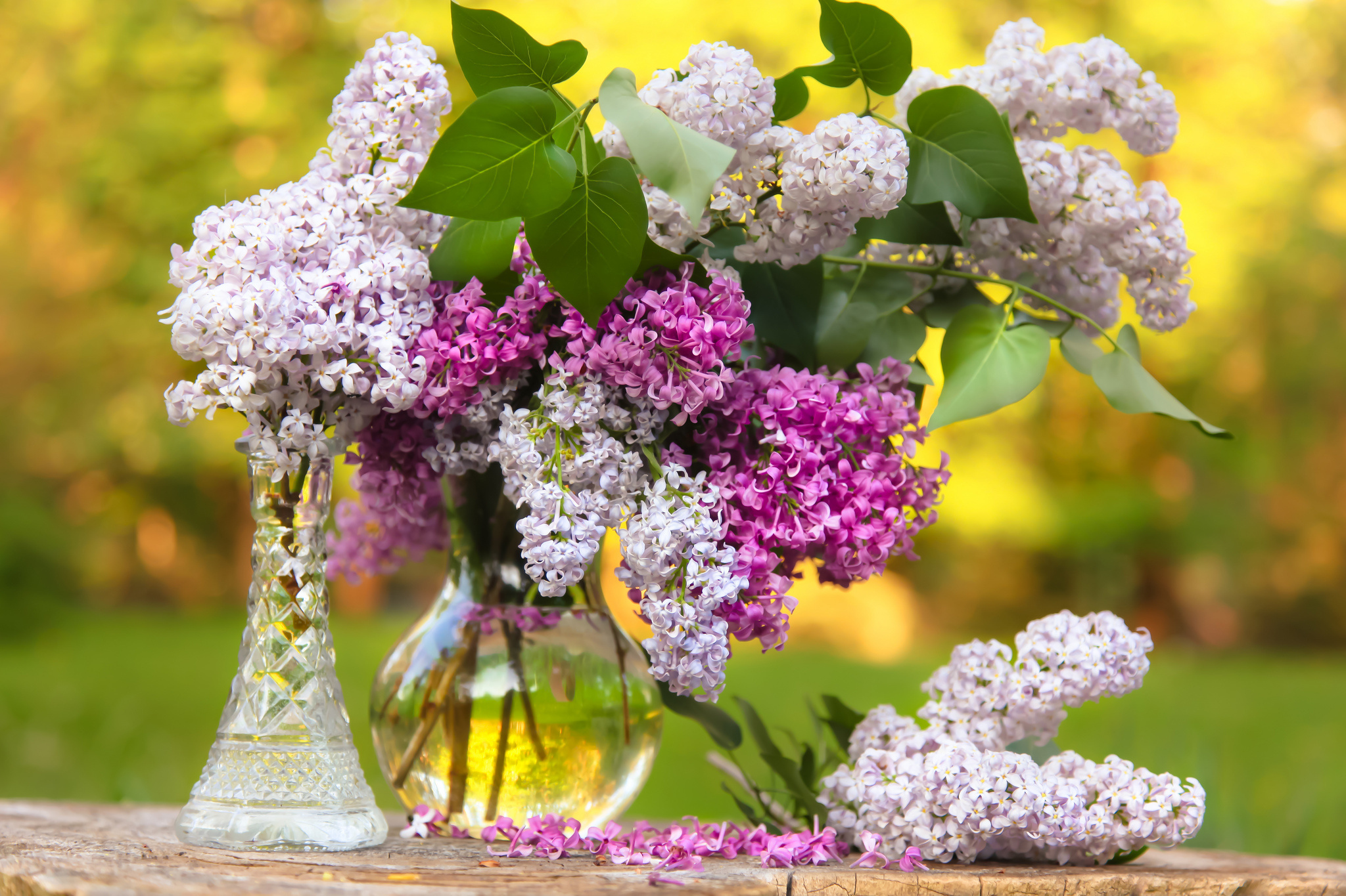 Завантажити шпалери безкоштовно Бузок, Квітка, Ваза, Біла Квітка, Фіолетова Квітка, Створено Людиною картинка на робочий стіл ПК