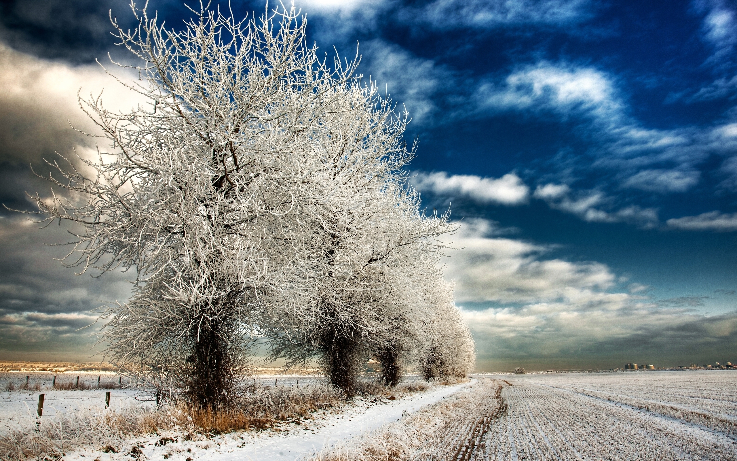 Скачать картинку Небо, Зима, Пейзаж, Природа в телефон бесплатно.