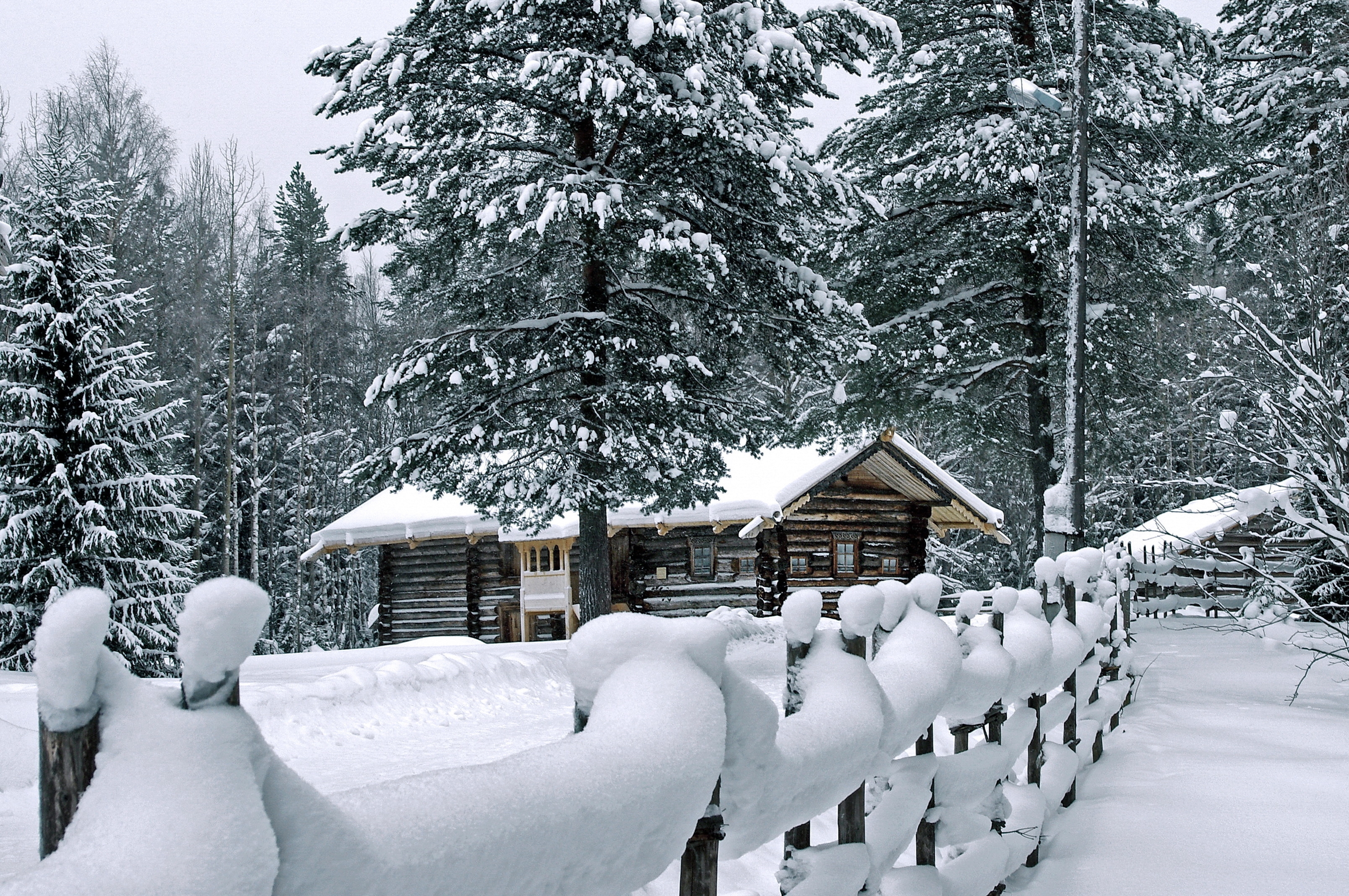 building, nature, pine, snow, house, fence, construction, drifts, izba, robe, garb Panoramic Wallpaper