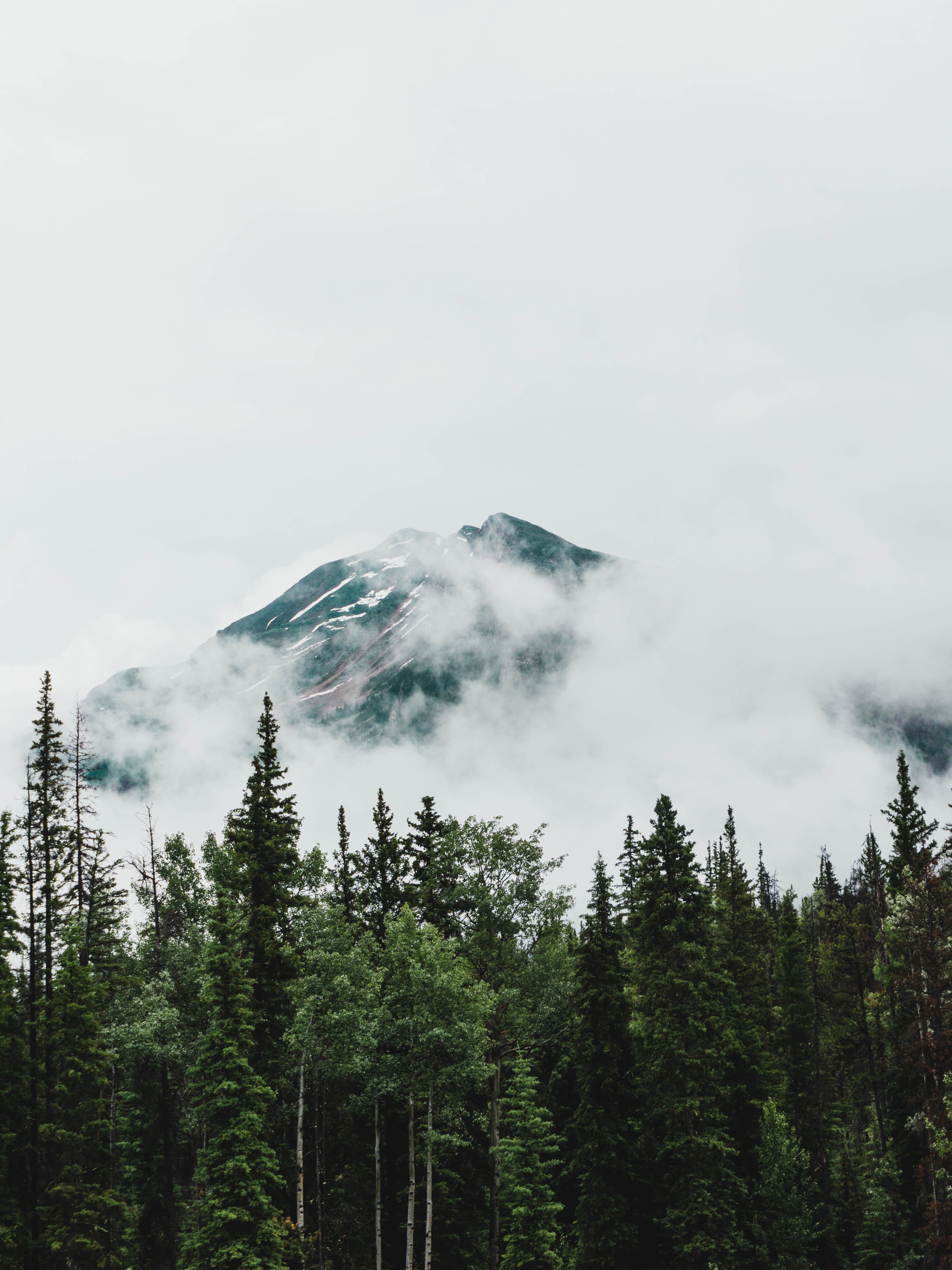 clouds, nature, trees, mountain, vertex, top Aesthetic wallpaper