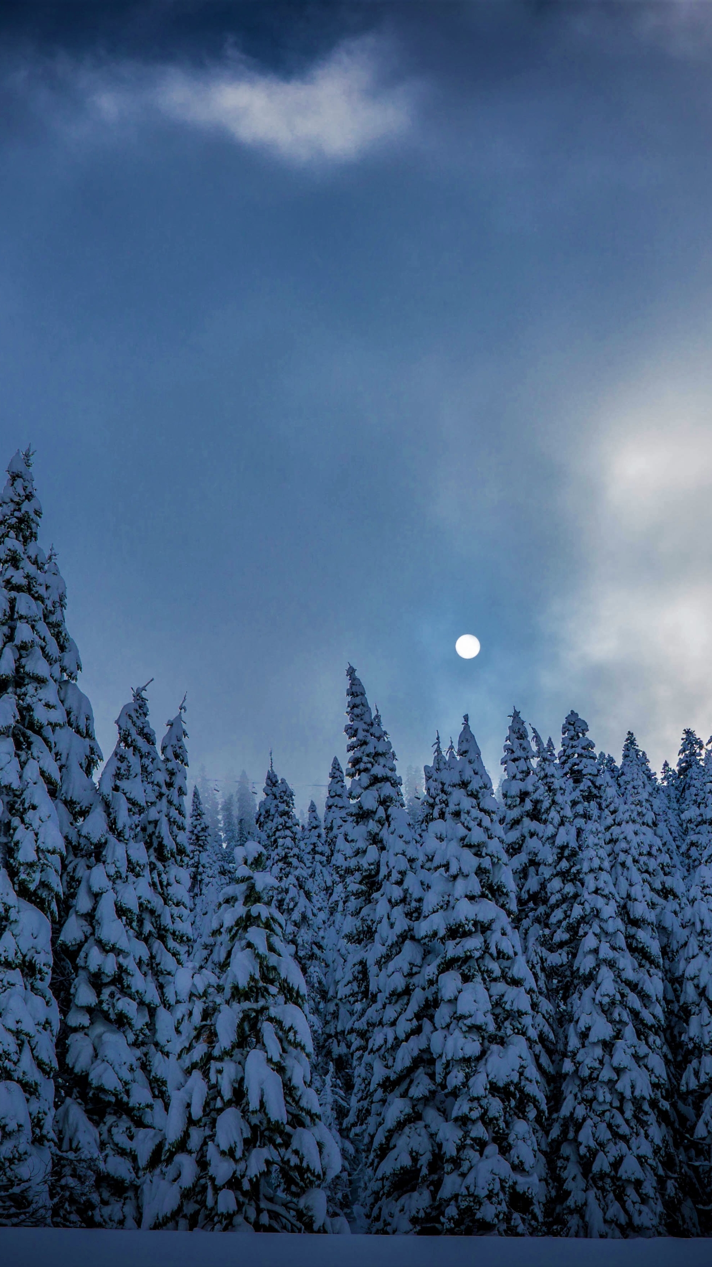 earth, winter, fir, twilight, snow, tree, dusk, moon cell phone wallpapers