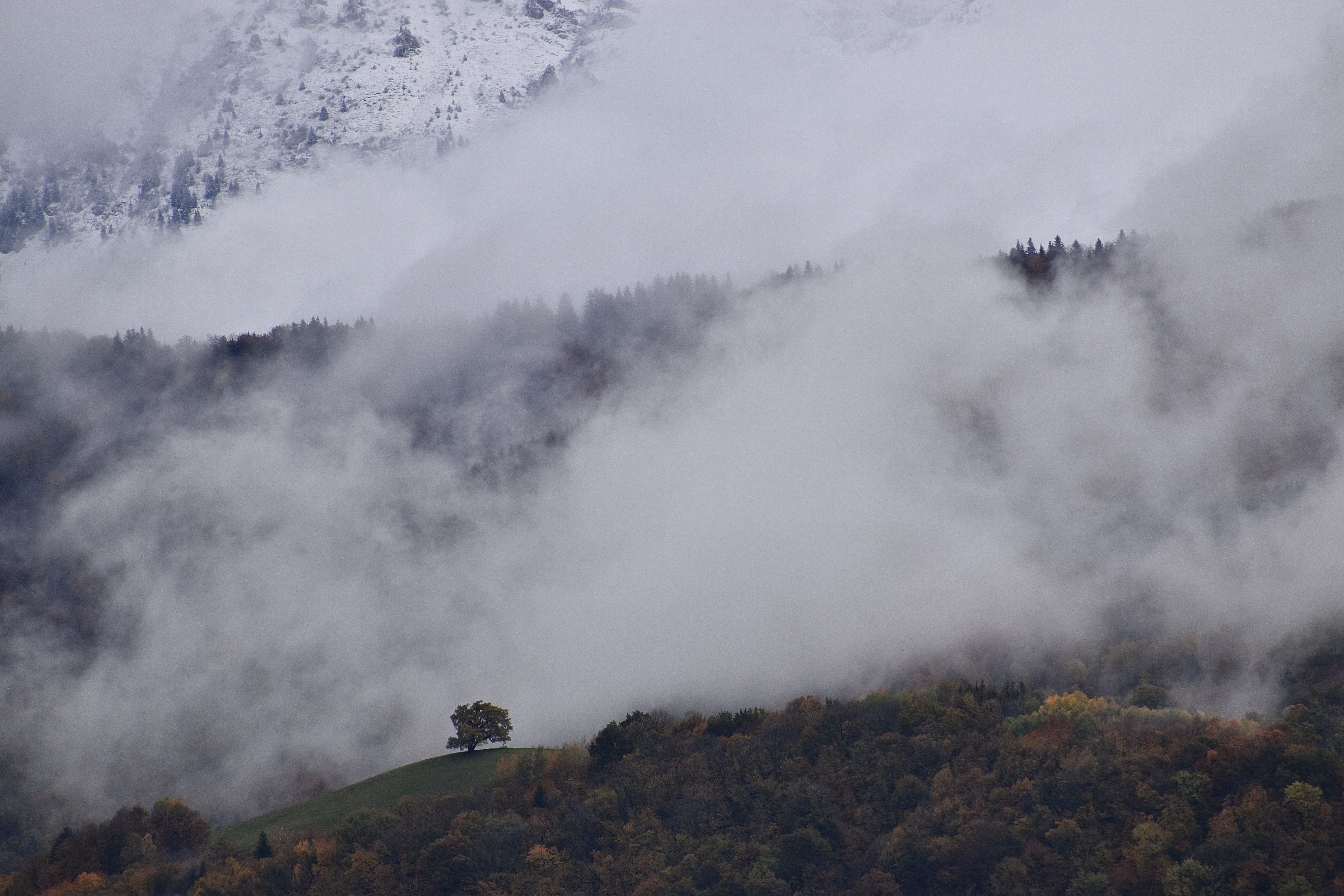 無料モバイル壁紙自然, 木, 山脈, 雲, 霧, 風景をダウンロードします。