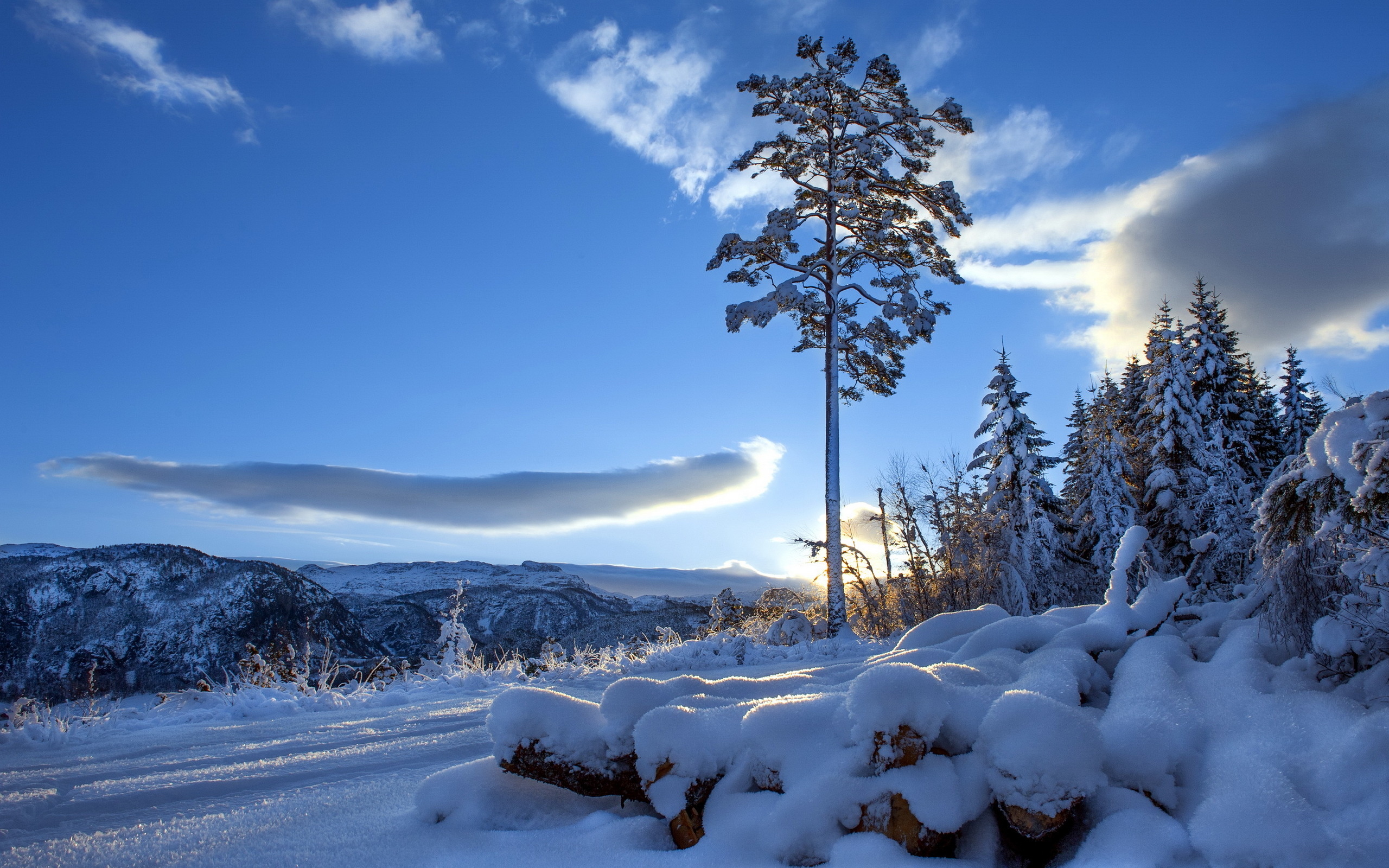 Téléchargez gratuitement l'image Hiver, Terre/nature sur le bureau de votre PC