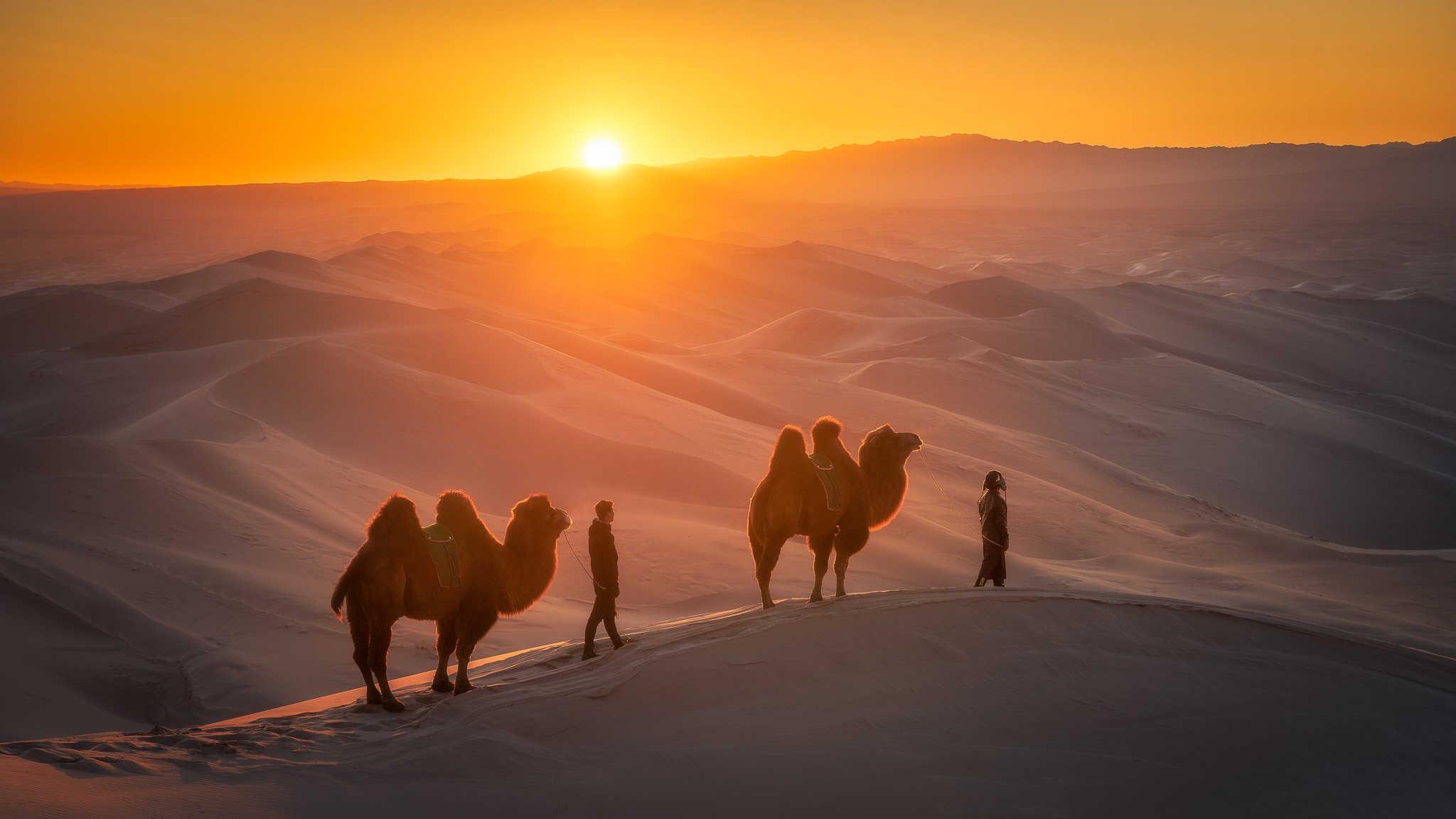 991653 baixar papel de parede fotografia, caravana, camelo, deserto, pessoa, sol - protetores de tela e imagens gratuitamente