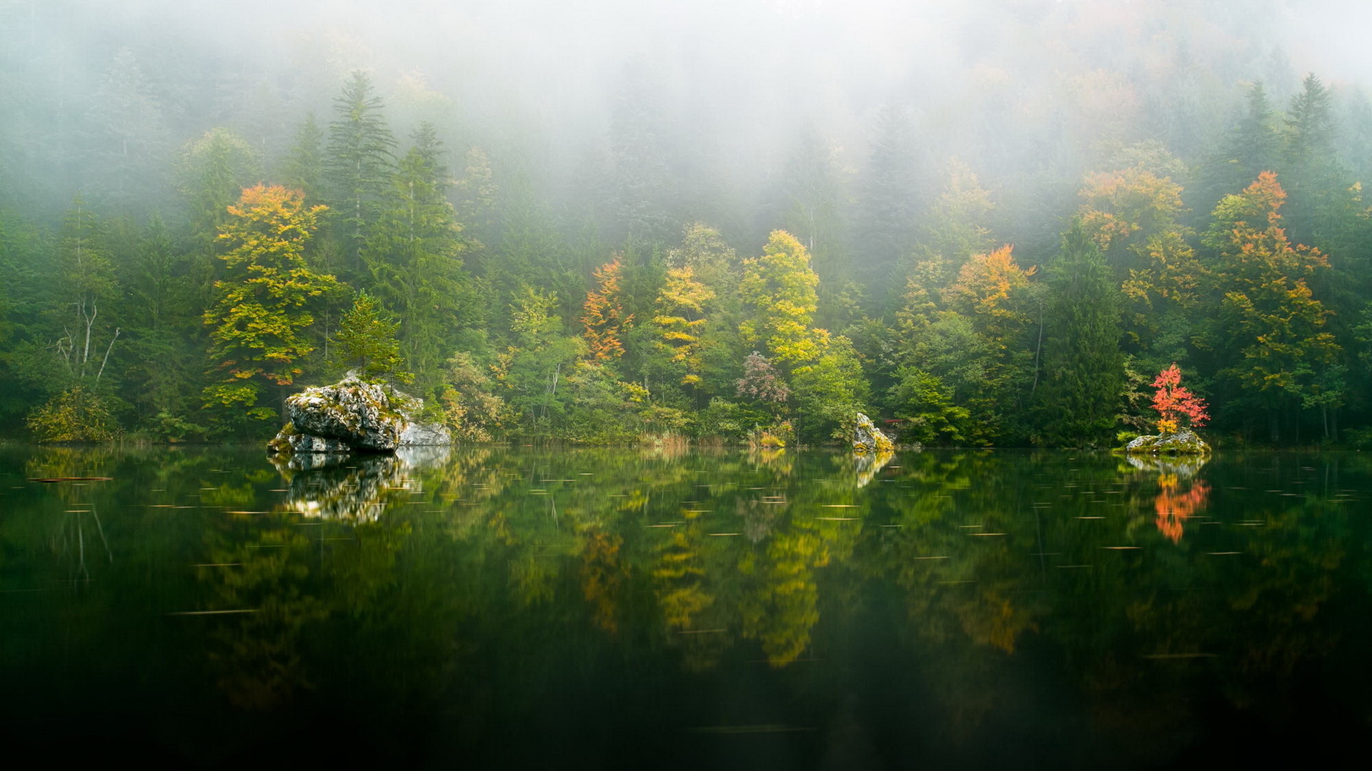 Free download wallpaper Nature, Lakes, Lake, Reflection, Tree, Fog, Earth on your PC desktop