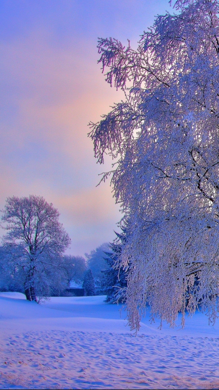 Handy-Wallpaper Winter, Erde/natur kostenlos herunterladen.