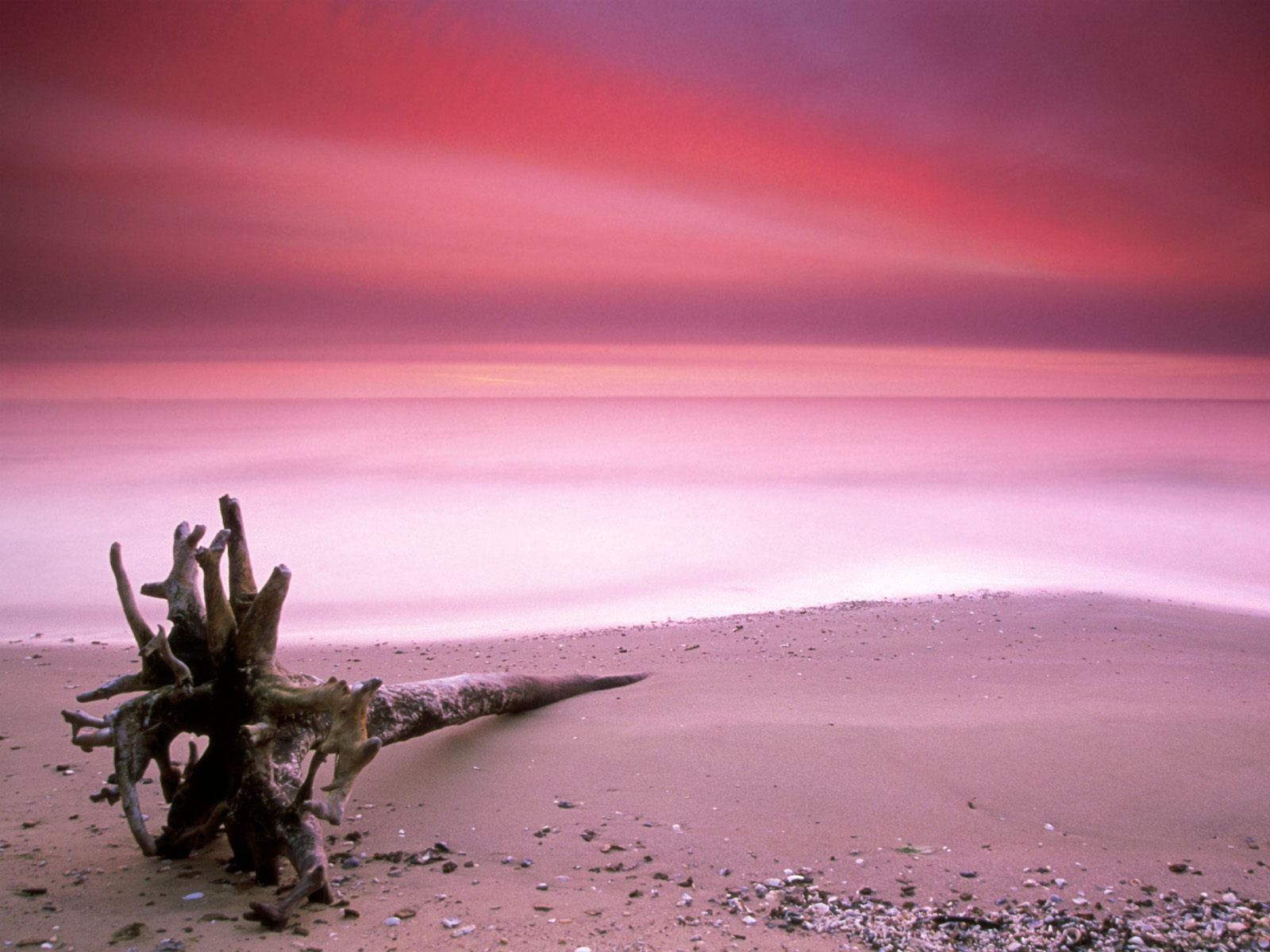 Descarga gratuita de fondo de pantalla para móvil de Pastel, Playa, Tierra/naturaleza.