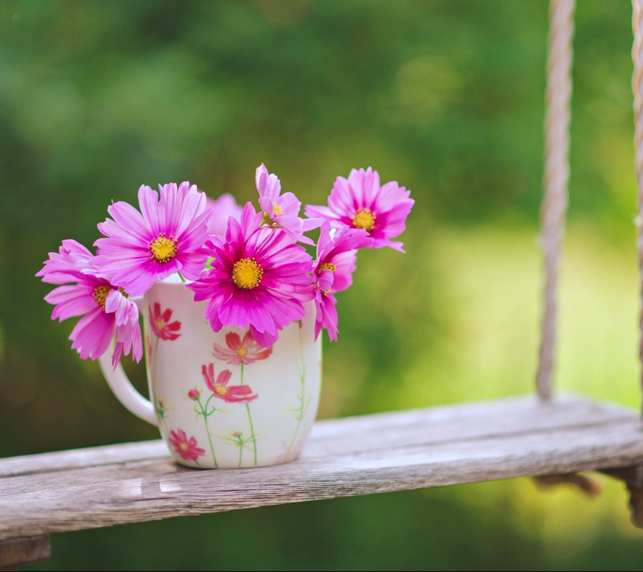 Handy-Wallpaper Blume, Tasse, Strauß, Verwischen, Schwingen, Frühling, Kosmos, Menschengemacht, Pinke Blume, Kosmeen kostenlos herunterladen.