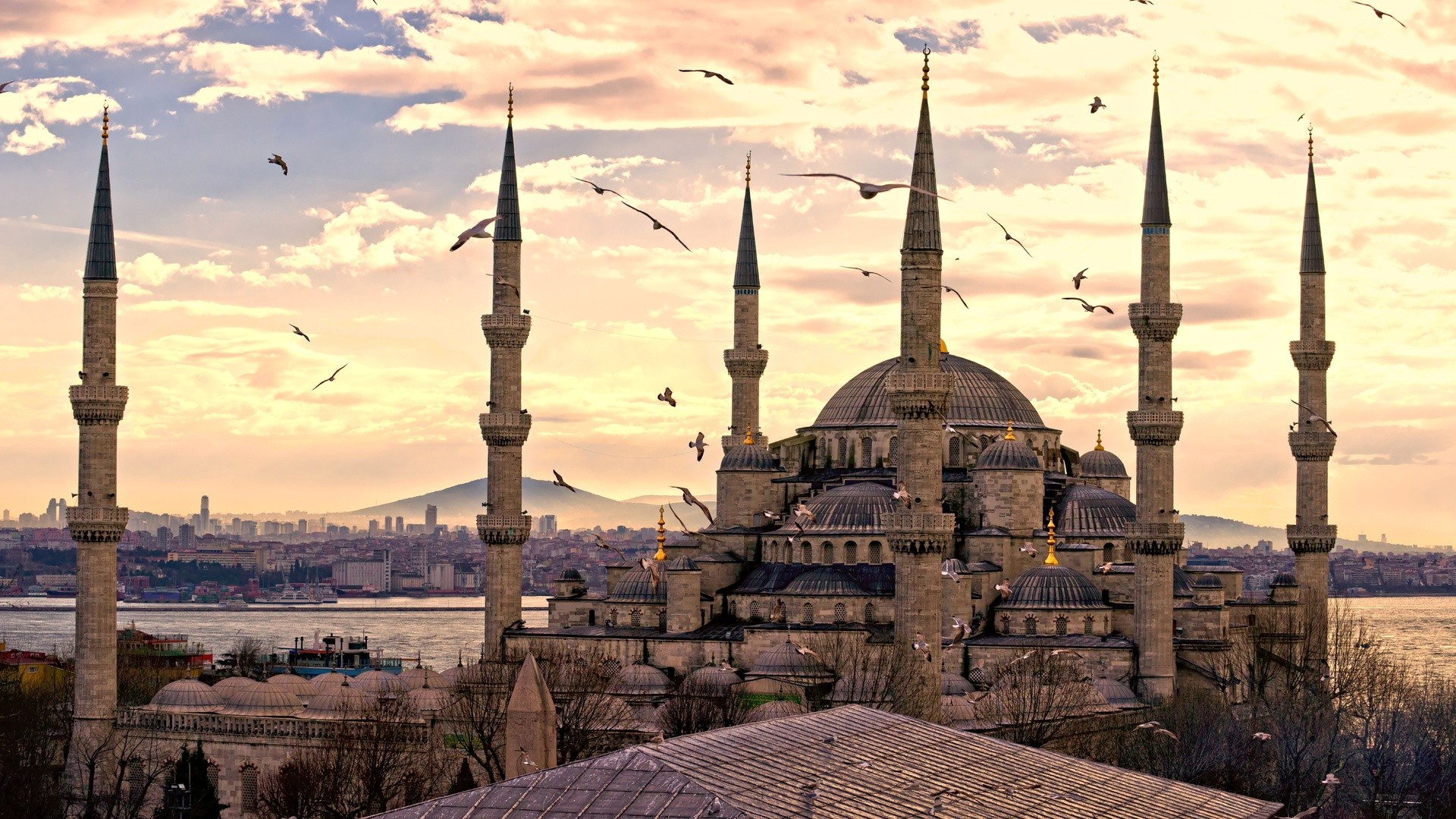 religious, sultan ahmed mosque, mosques