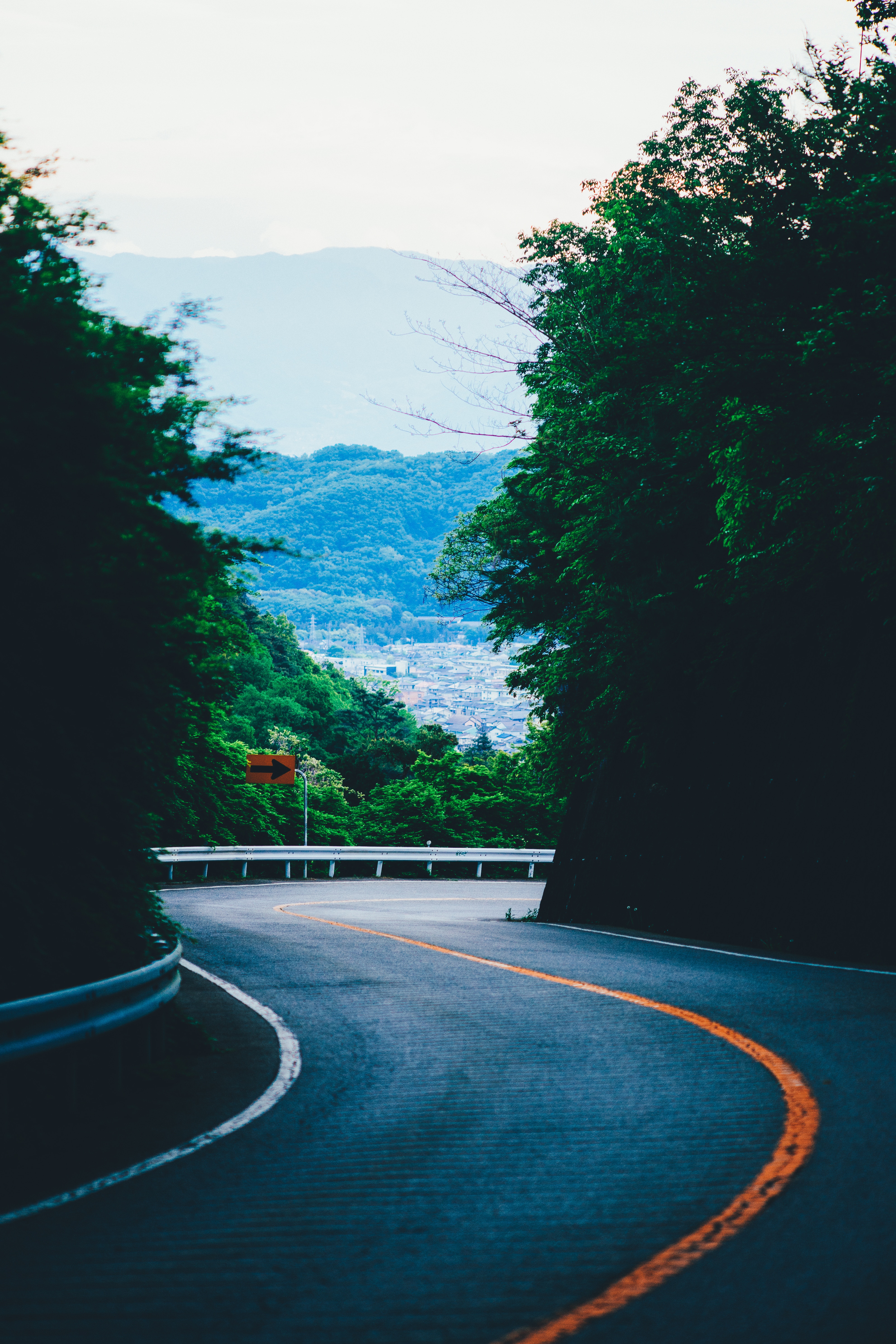 nature, trees, mountains, road, turn, markup