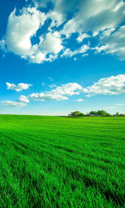 Download mobile wallpaper Nature, Grass, Sky, Horizon, Earth, Field, Cloud, Dirt Road for free.