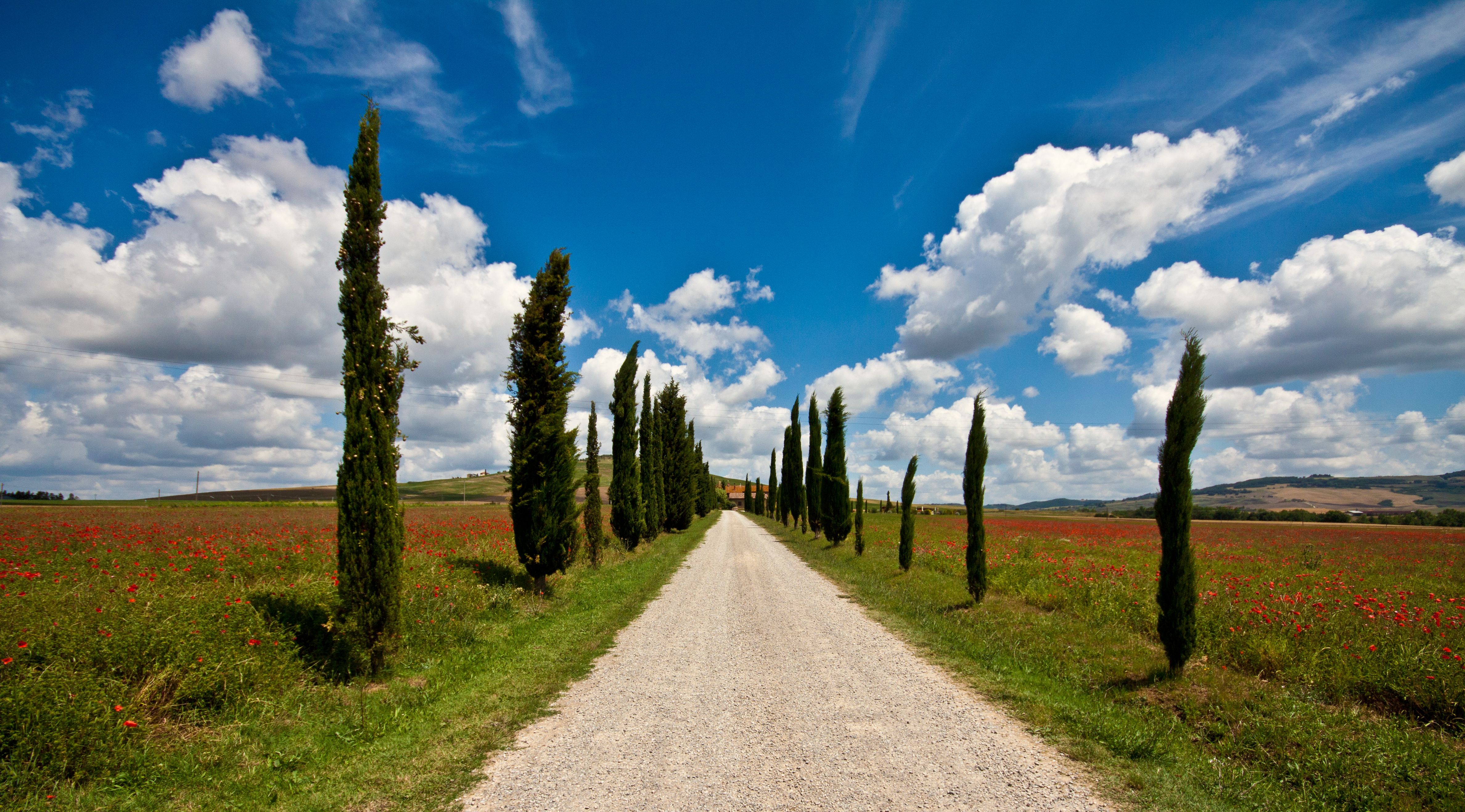 Baixar papel de parede para celular de Itália, Estrada, Árvore, Toscana, Feito Pelo Homem, Estrada De Terra gratuito.