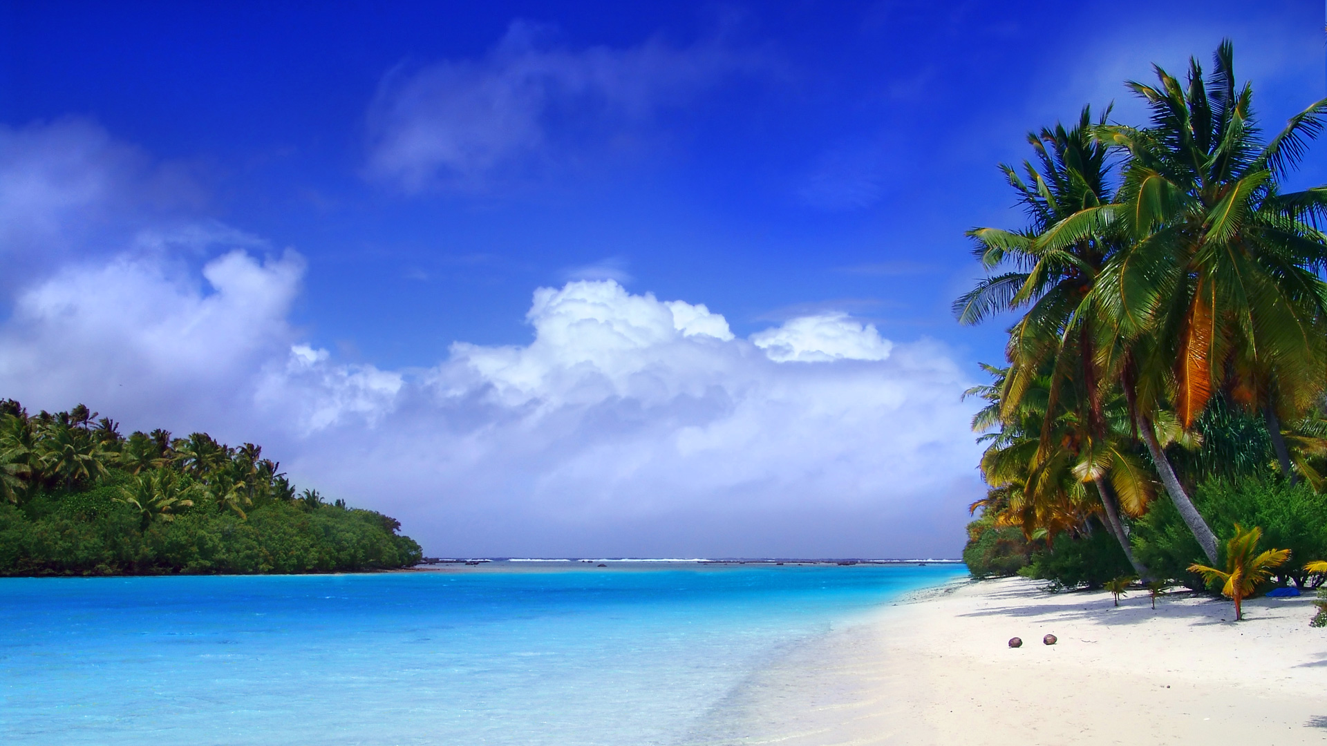Free download wallpaper Beach, Coast, Ocean, Earth, Tropics, Tropical, Palm Tree on your PC desktop
