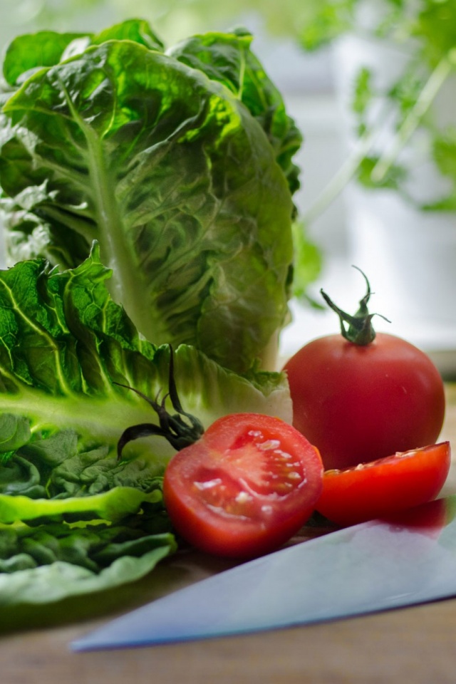 Handy-Wallpaper Salat, Tomate, Nahrungsmittel, Kopfsalat kostenlos herunterladen.