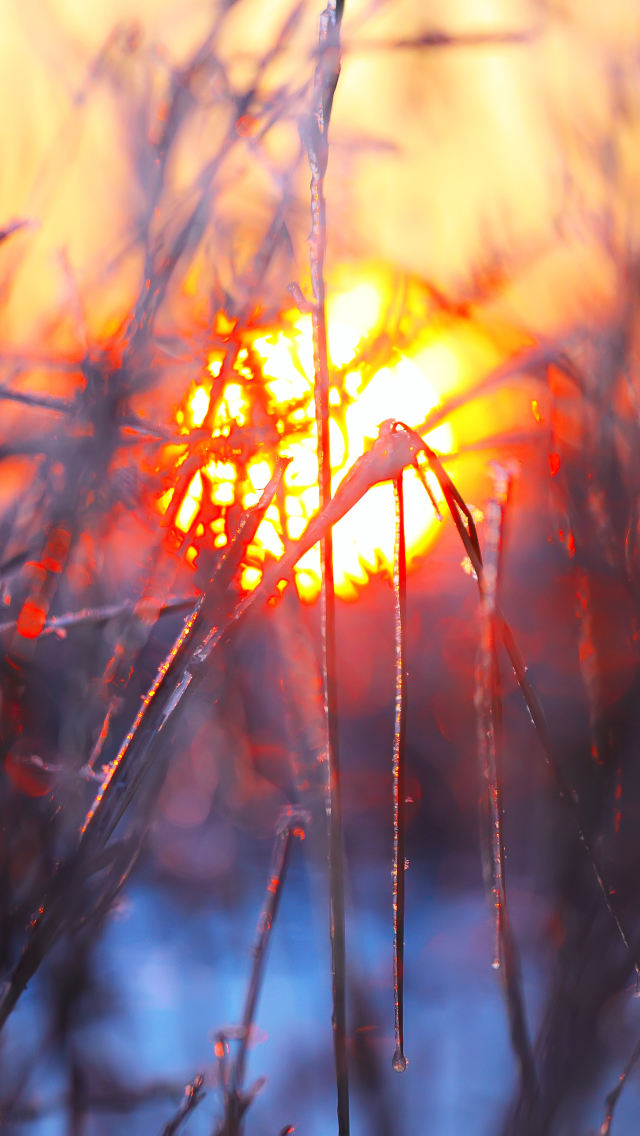 Descarga gratuita de fondo de pantalla para móvil de Amanecer, Tierra/naturaleza.