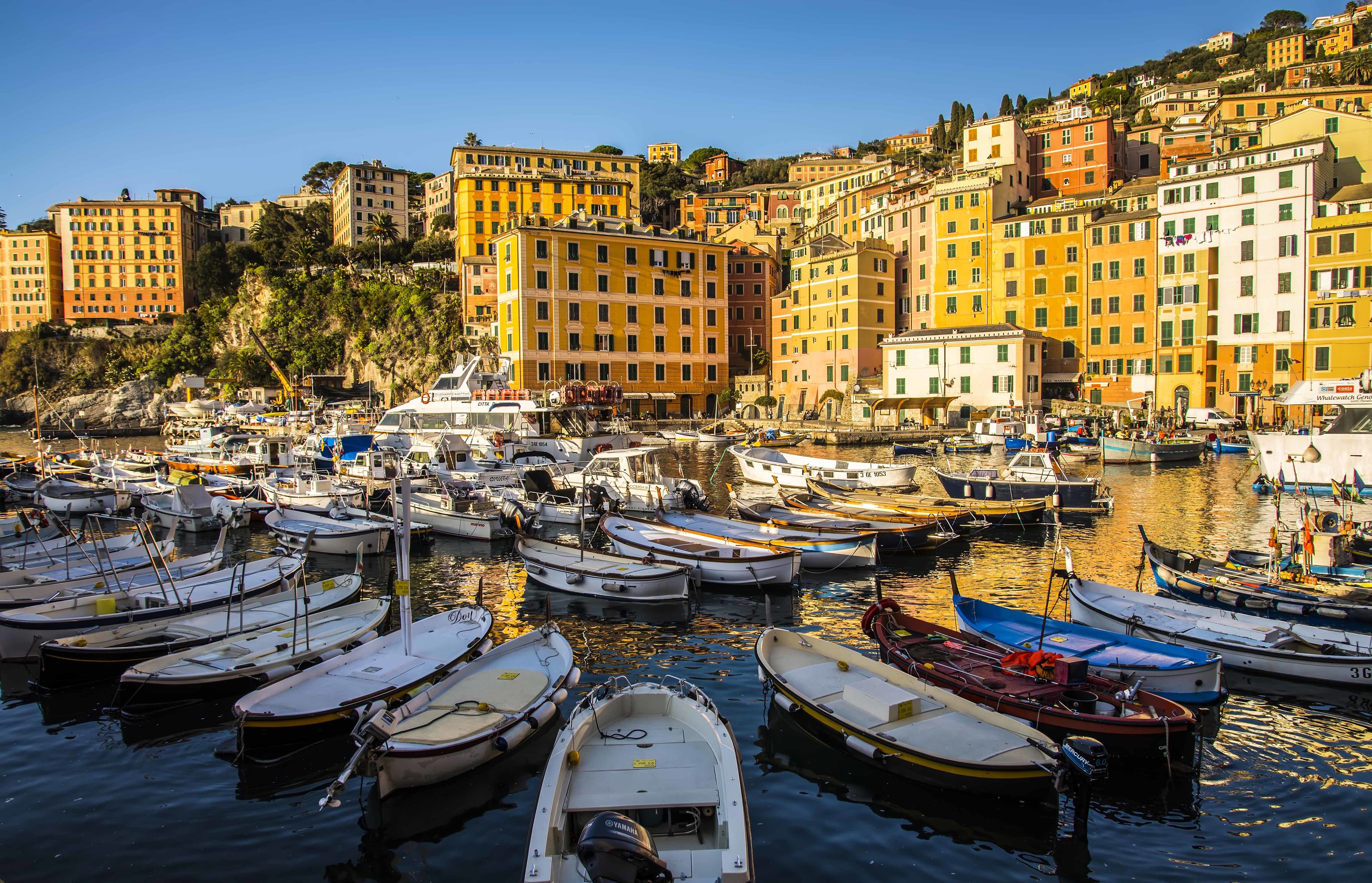 Laden Sie das Italien, Haus, Boot, Hafen, Menschengemacht, Ligurien, Camogli-Bild kostenlos auf Ihren PC-Desktop herunter