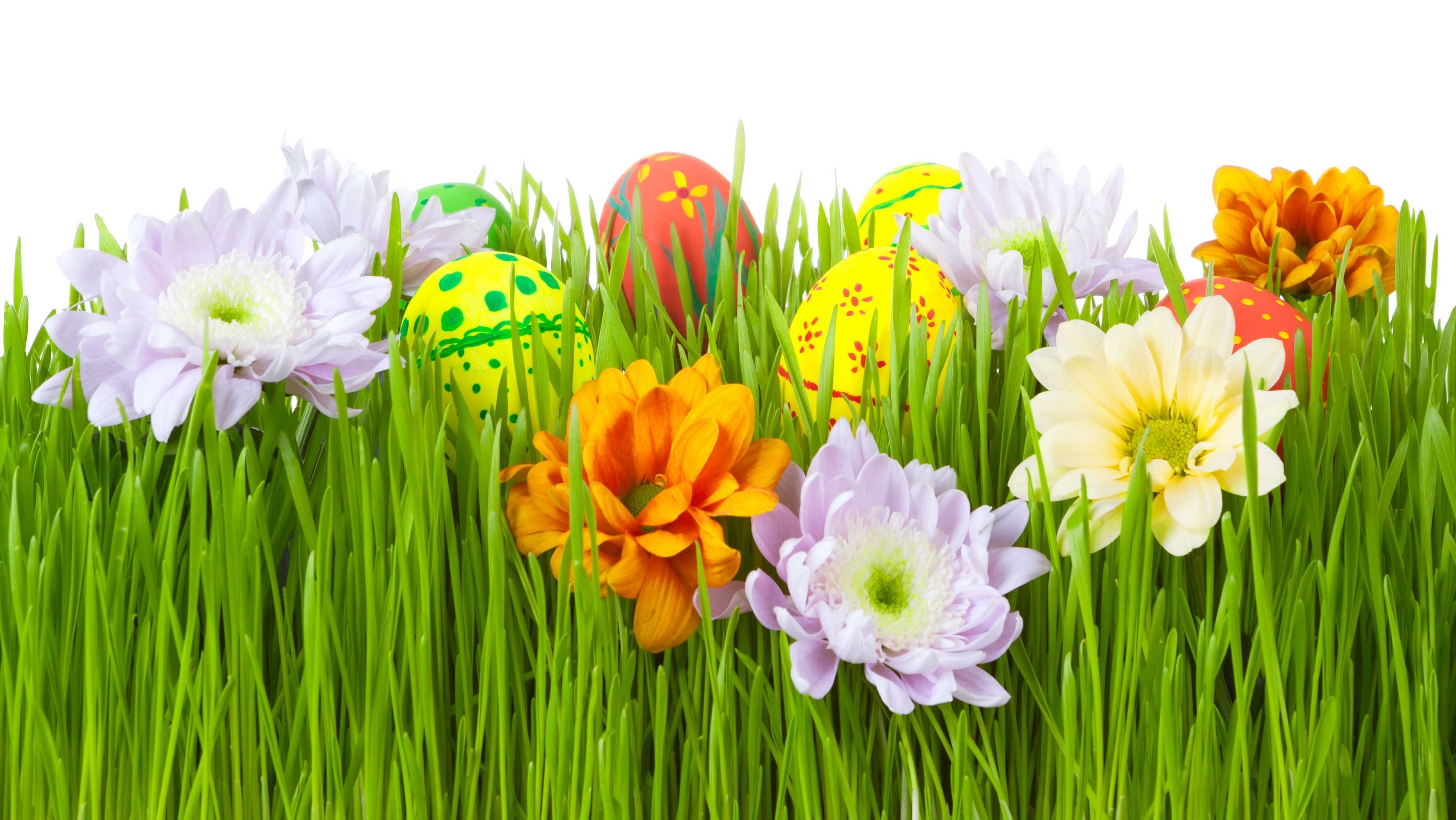 Laden Sie das Feiertage, Ostern, Blume, Bunt, Frühling, Gras, Hühnerei, Osterei-Bild kostenlos auf Ihren PC-Desktop herunter