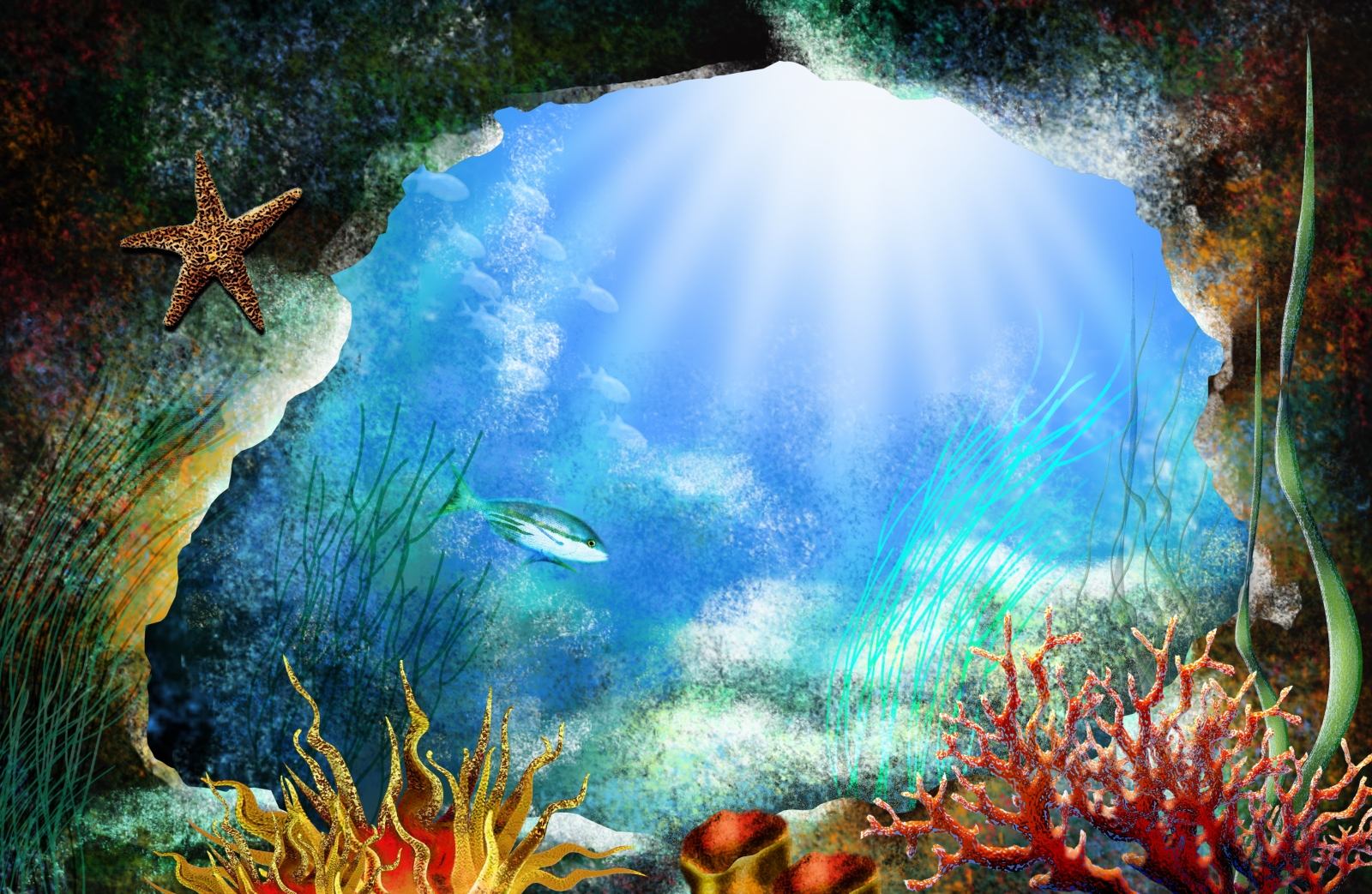 Download mobile wallpaper Sea Life, Animal for free.