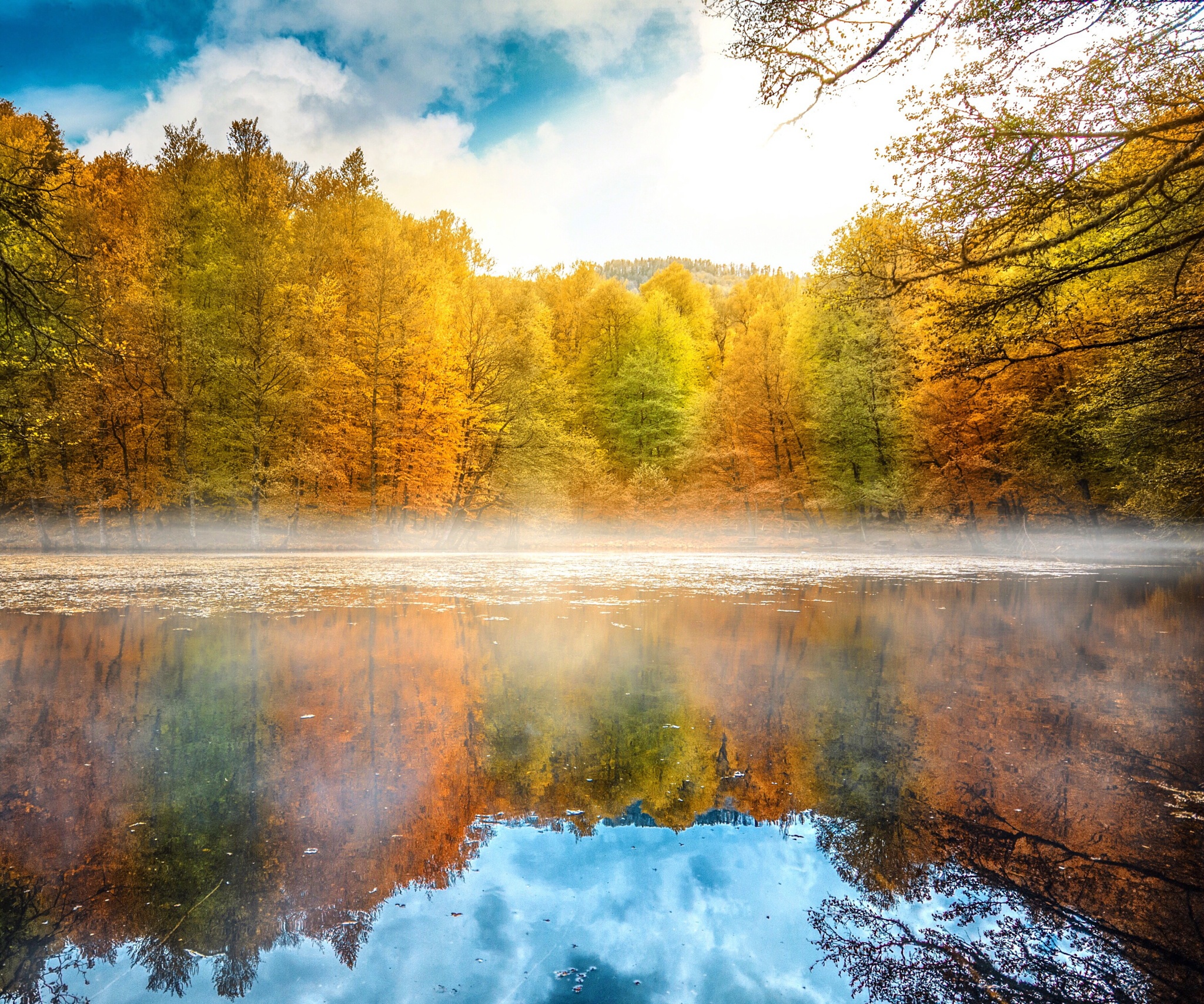 Free download wallpaper Nature, Lake, Reflection, Tree, Fog, Fall, Earth on your PC desktop