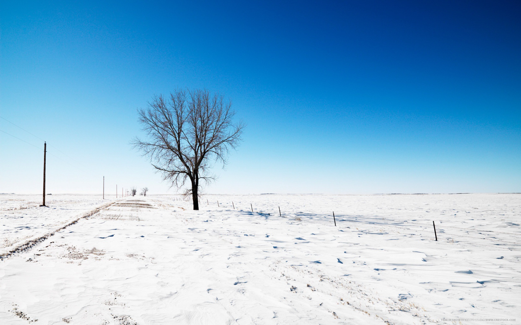 Laden Sie das Bäume, Baum, Erde/natur-Bild kostenlos auf Ihren PC-Desktop herunter