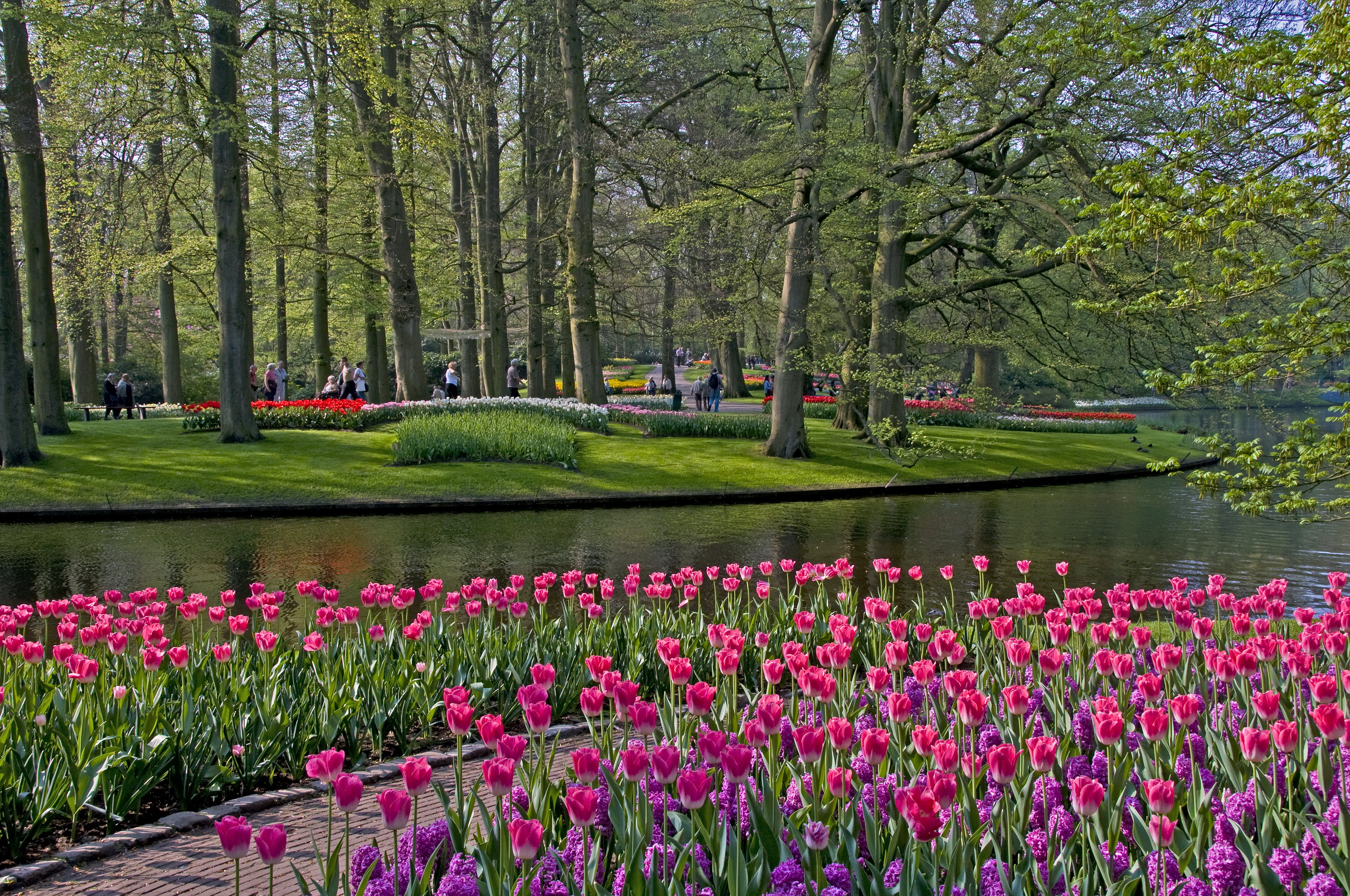 Laden Sie das Park, Fotografie-Bild kostenlos auf Ihren PC-Desktop herunter