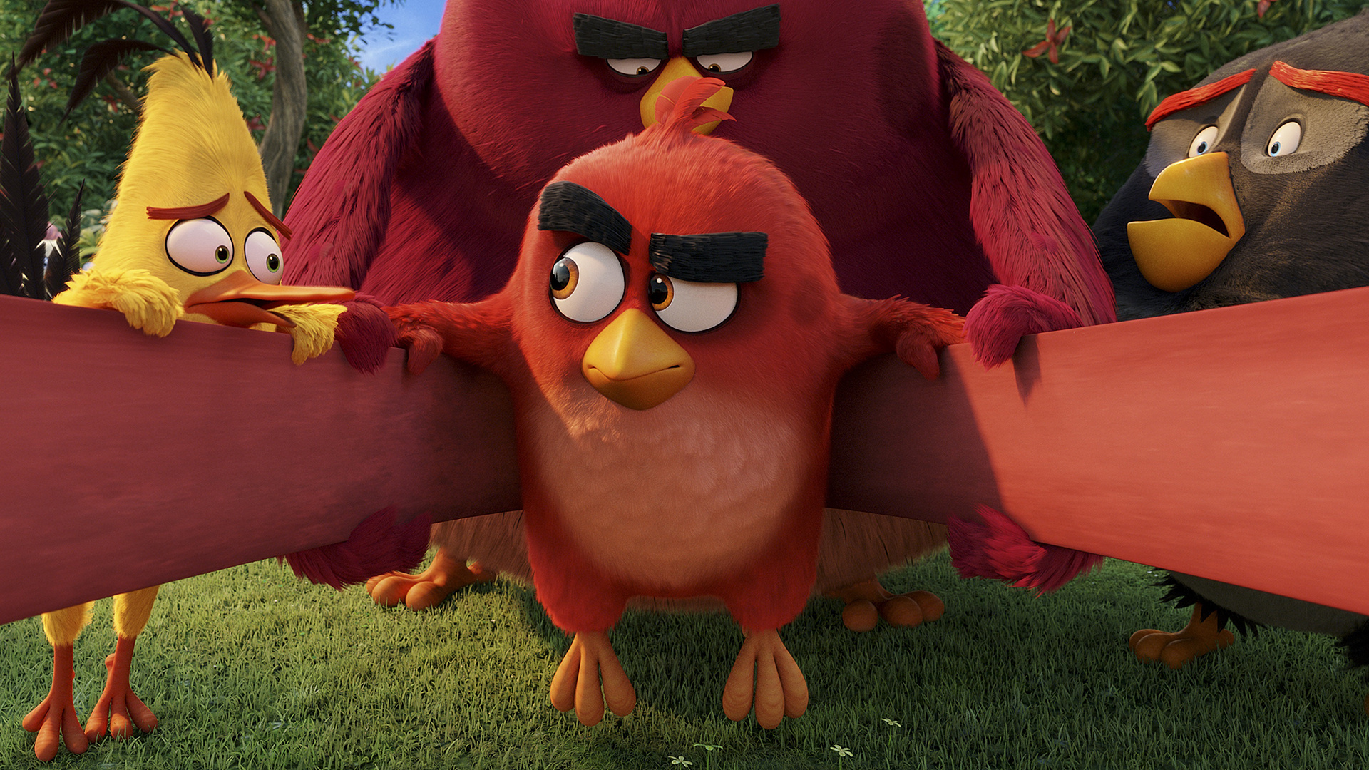 399212 baixar imagens filme, angry birds: o filme, angry birds - papéis de parede e protetores de tela gratuitamente