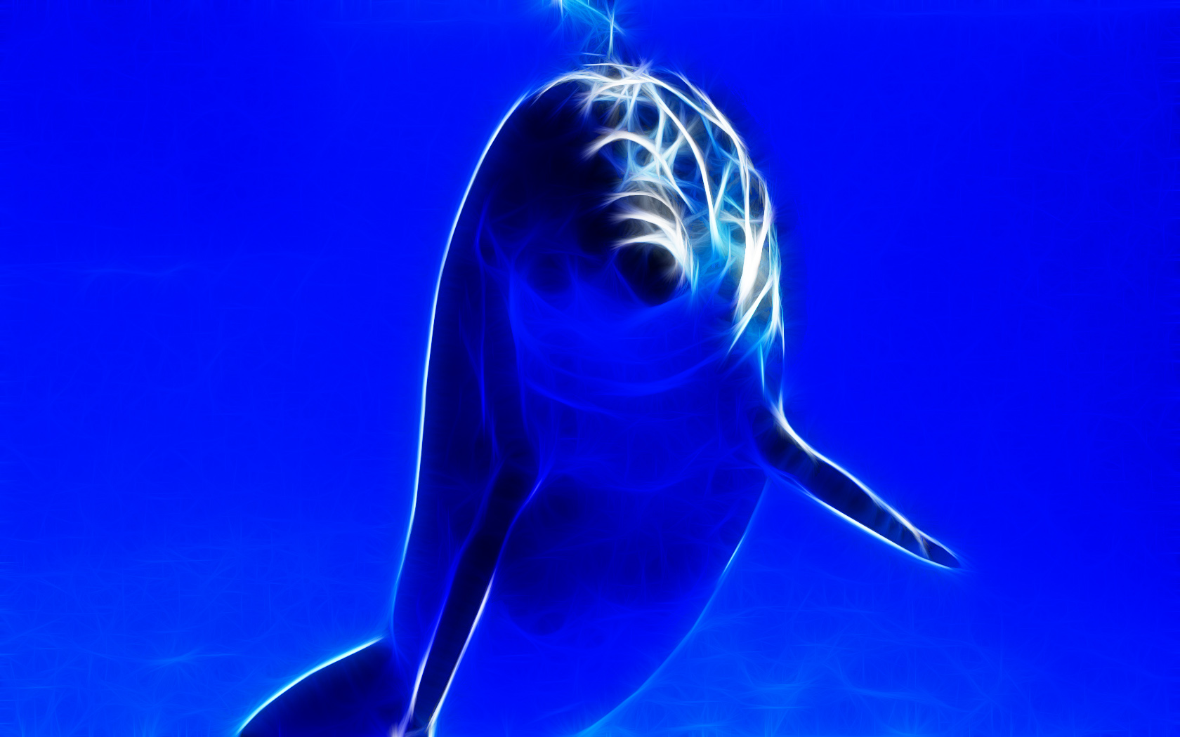 Download mobile wallpaper Fractal, Animal, Dolphin for free.