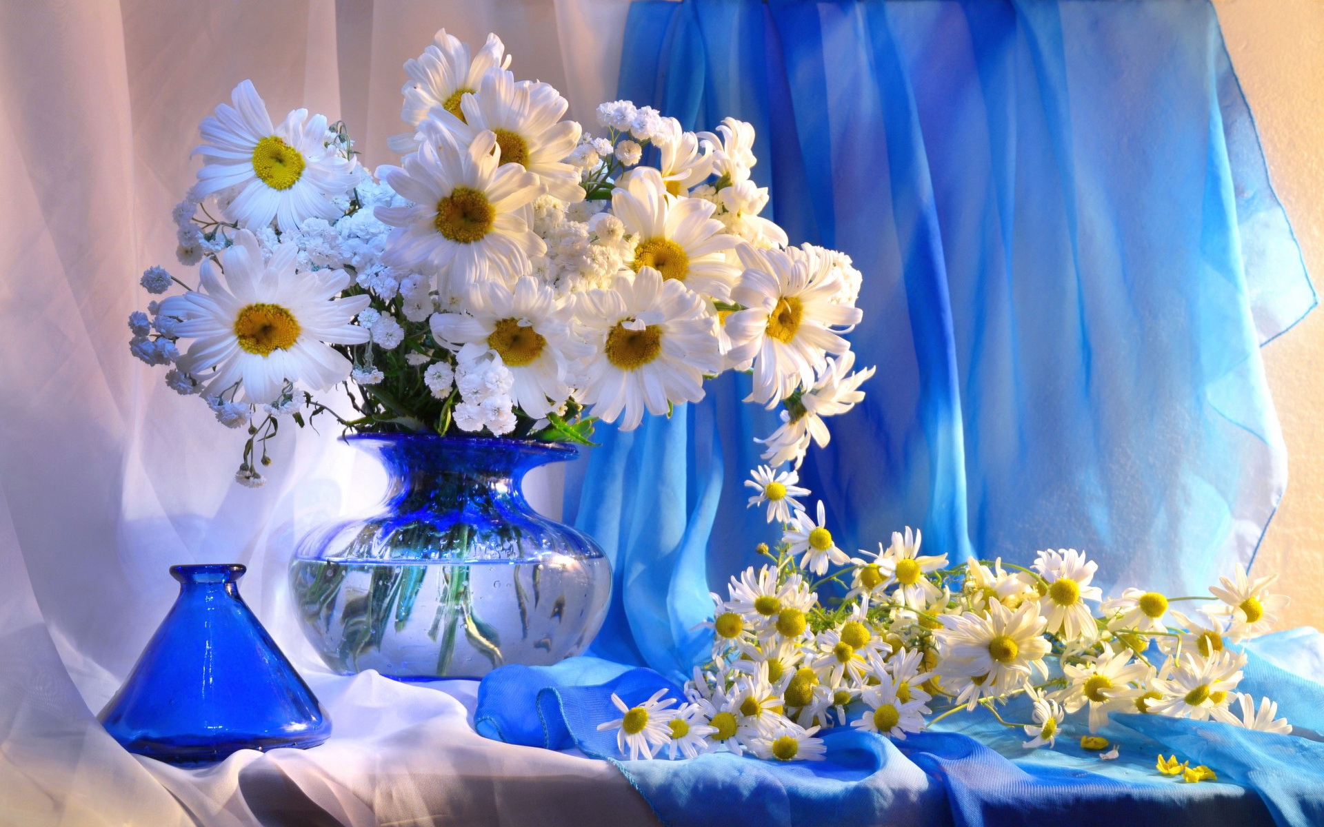 Laden Sie das Blume, Vase, Gänseblümchen, Weiße Blume, Menschengemacht, Stillleben-Bild kostenlos auf Ihren PC-Desktop herunter