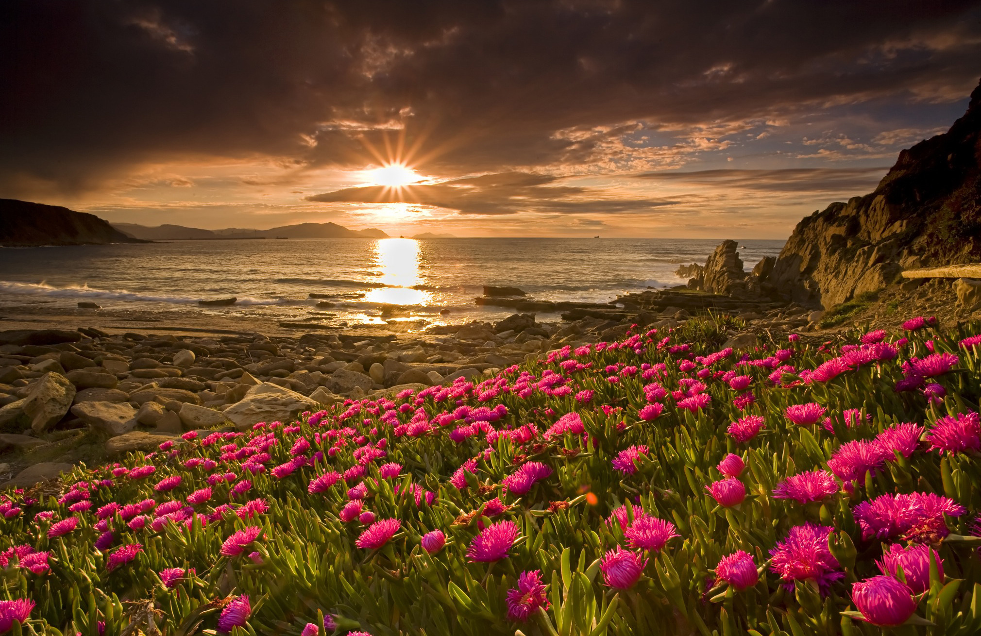 Téléchargez gratuitement l'image Coucher De Soleil, Terre/nature sur le bureau de votre PC