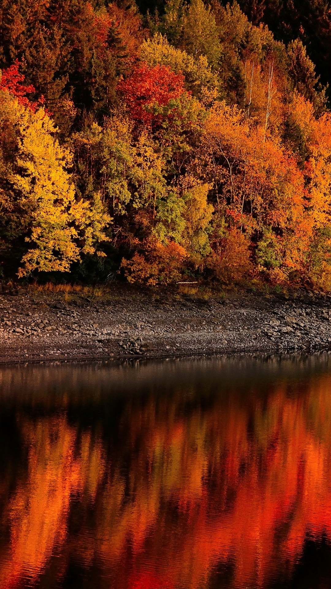 Download mobile wallpaper Forest, Fall, Earth, River for free.