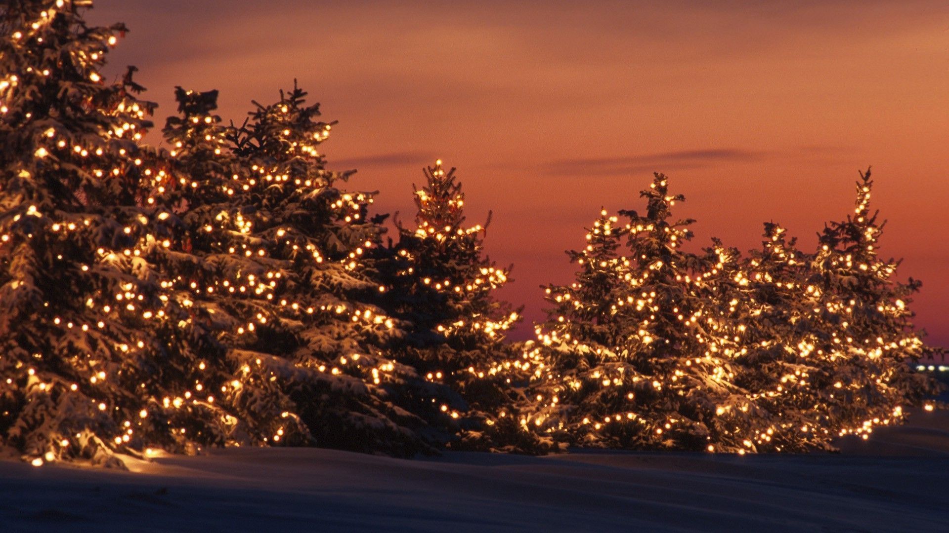 873979 baixar imagens feriados, natal, luzes, pôr do sol, árvore - papéis de parede e protetores de tela gratuitamente