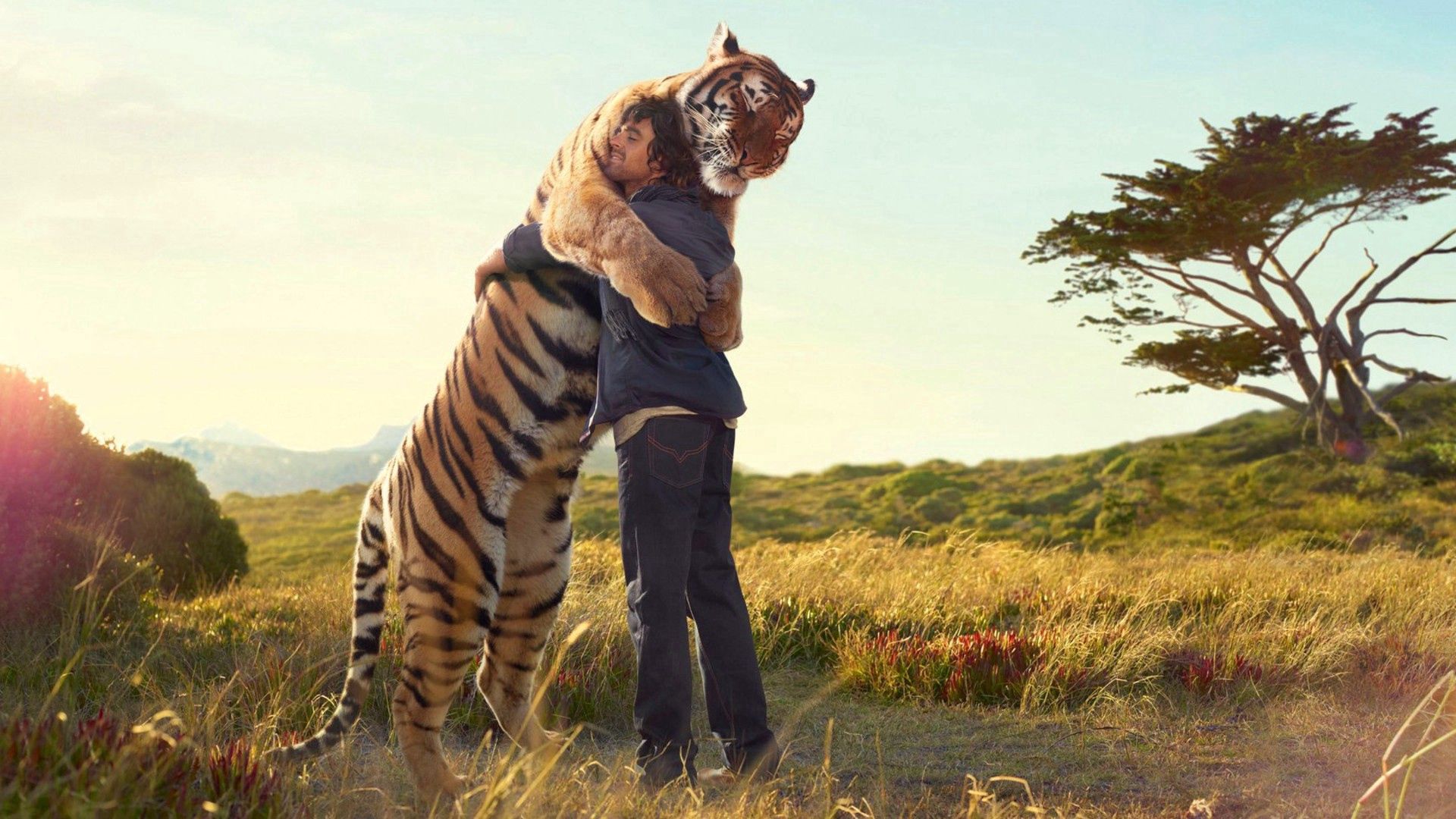 miscellanea, miscellaneous, tiger, guy, embrace, situation, meeting