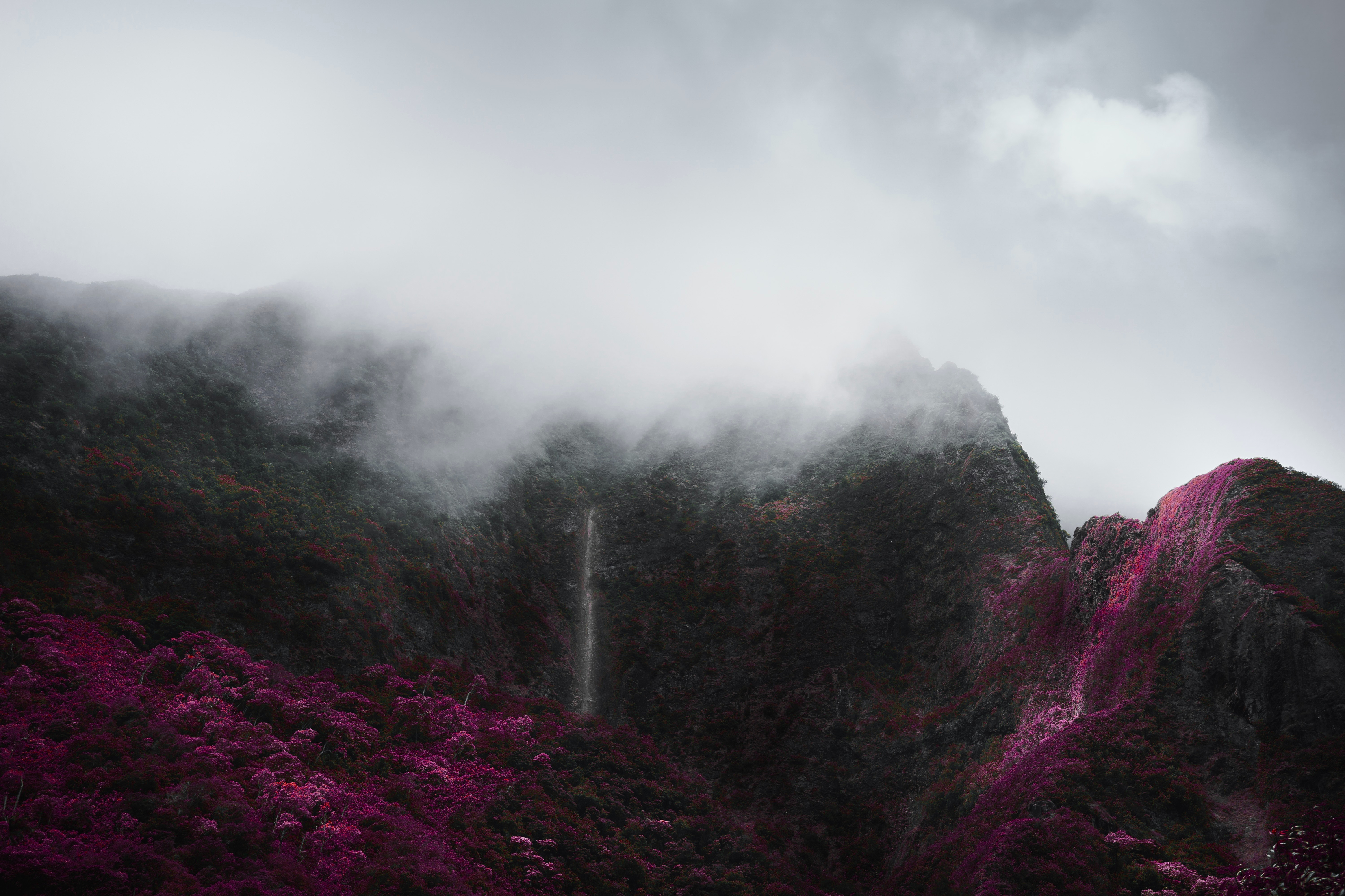 PCデスクトップに風景, 自然, 木, 山脈, 霧, 植生, 雲画像を無料でダウンロード