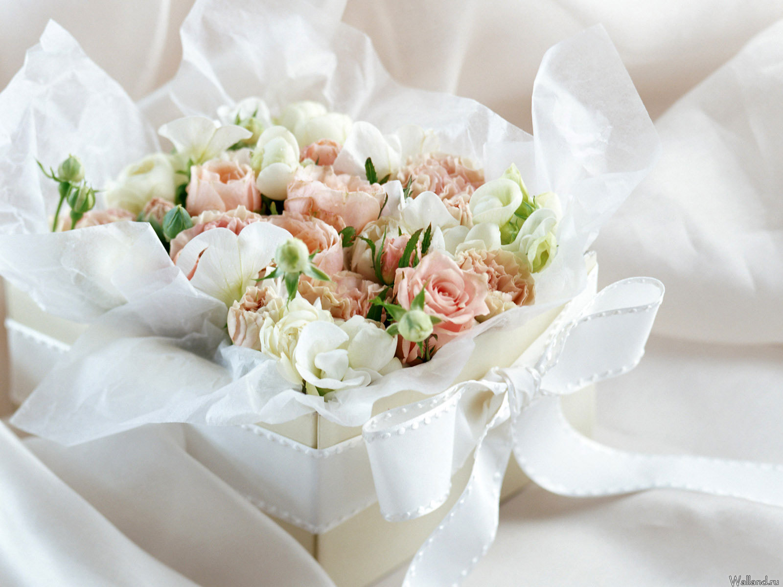 Laden Sie das Blumen, Bouquets, Pflanzen, Roses-Bild kostenlos auf Ihren PC-Desktop herunter