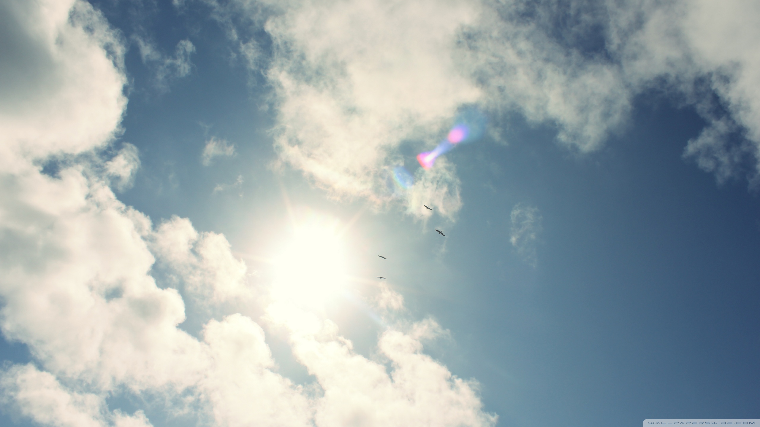 Descarga gratuita de fondo de pantalla para móvil de Cielo, Tierra/naturaleza.